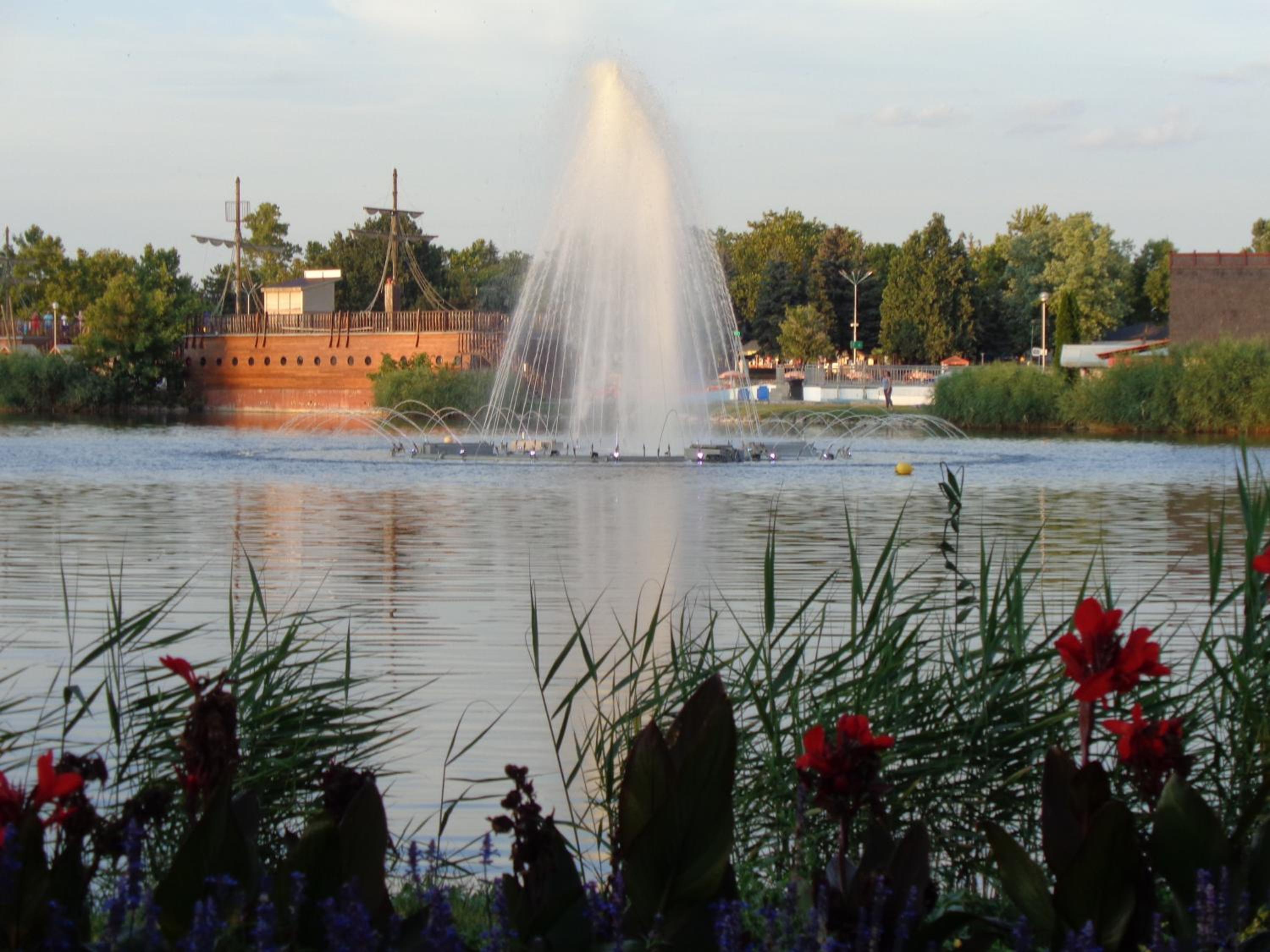 Photo 24