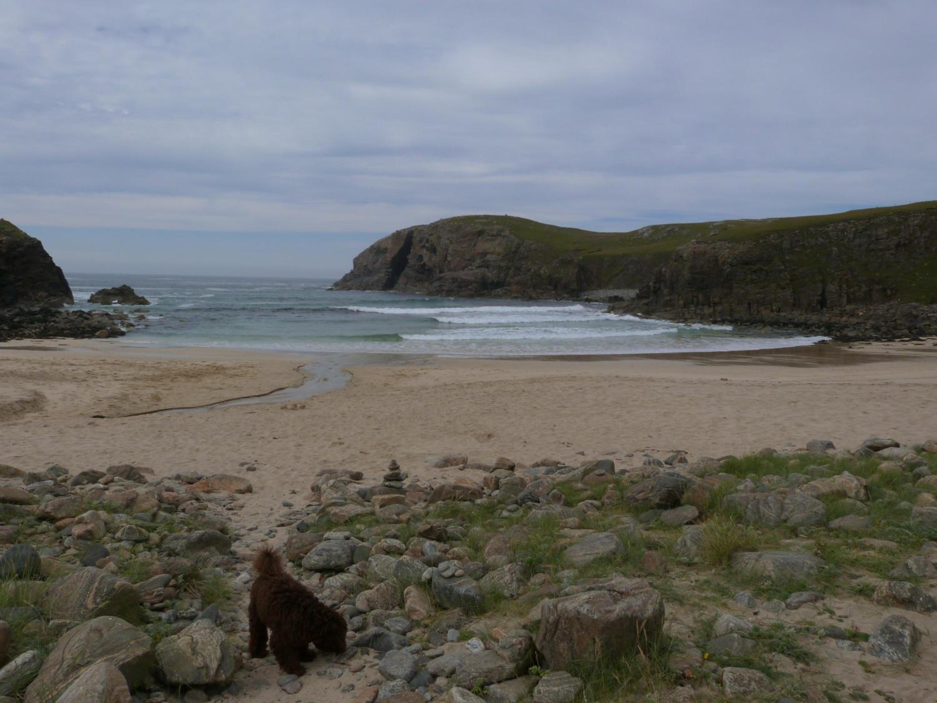 Photo 23