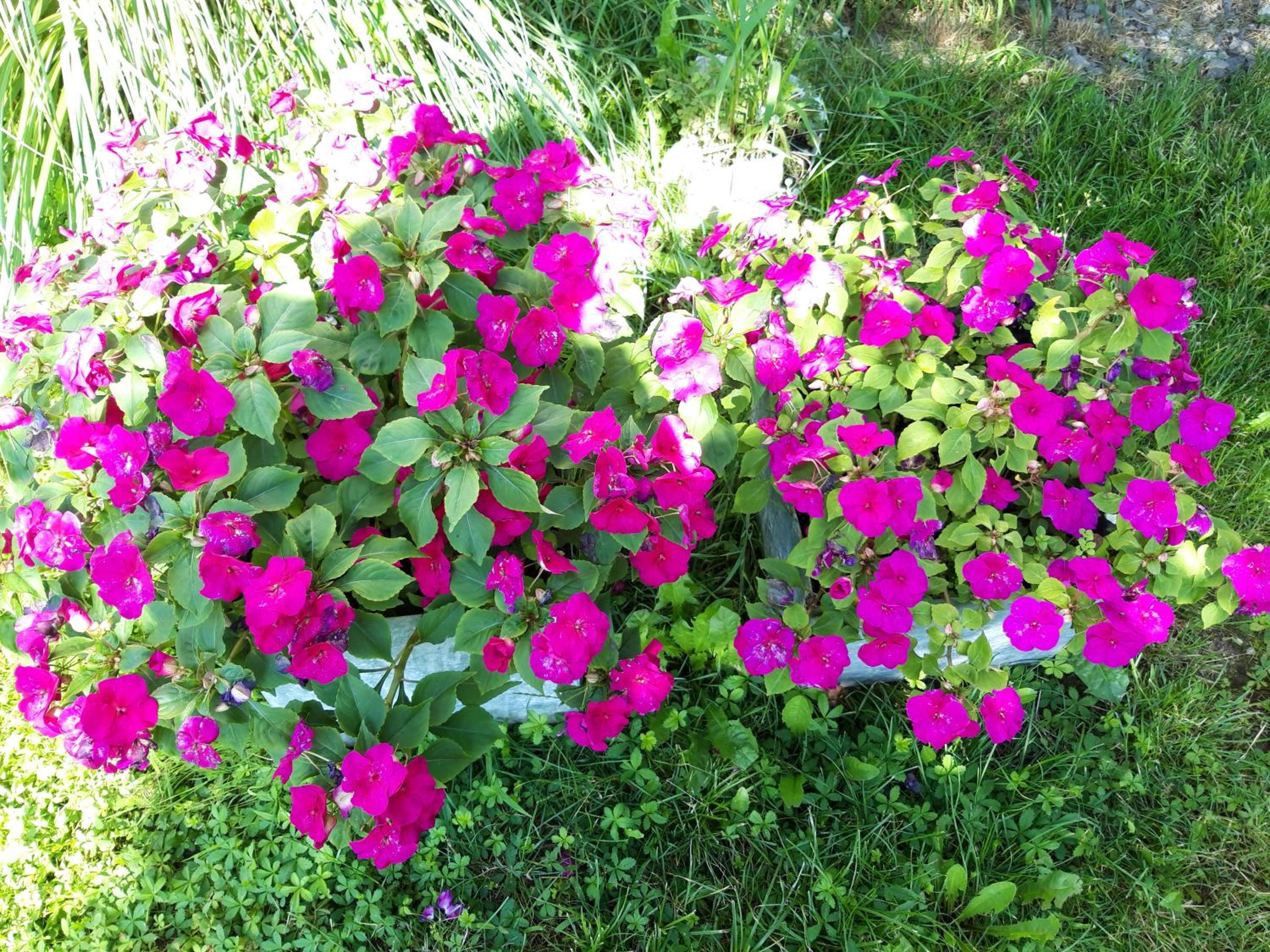 Photo 44