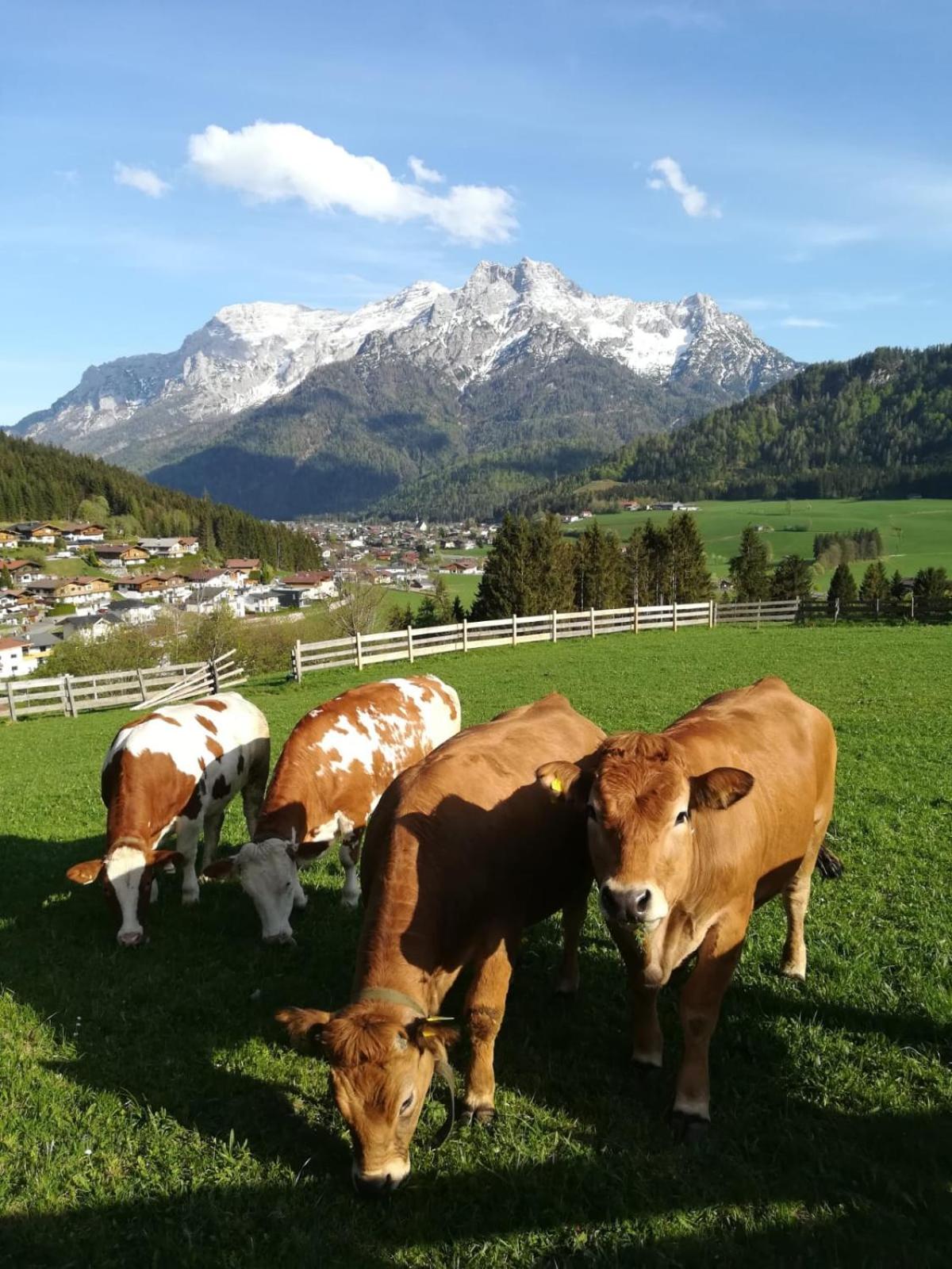 Bommerhof