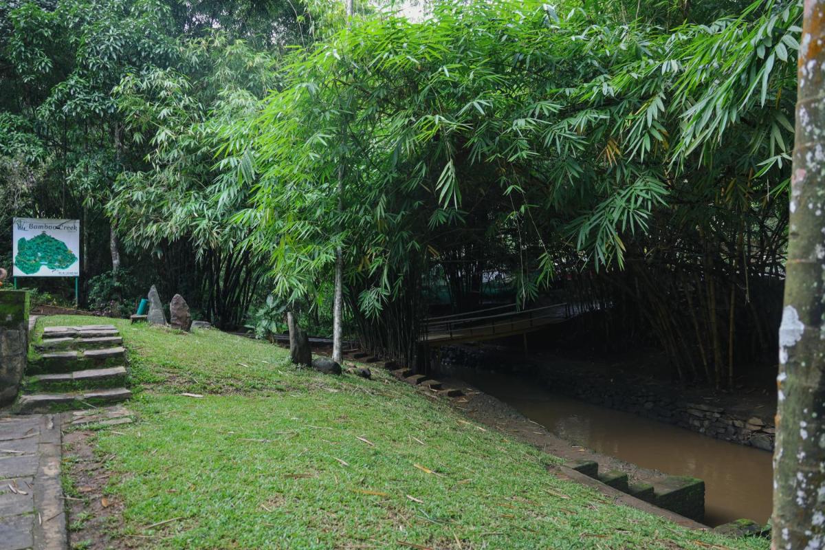 children's play area