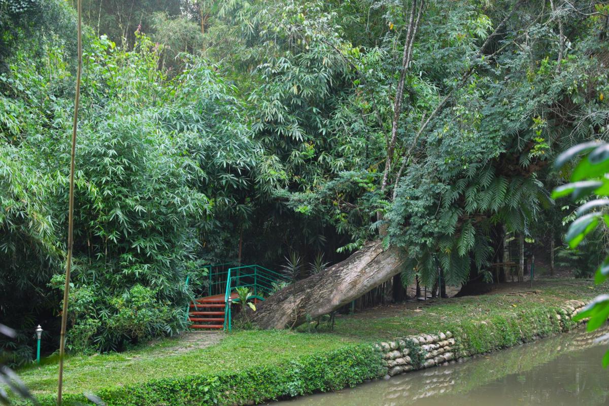 children's play area