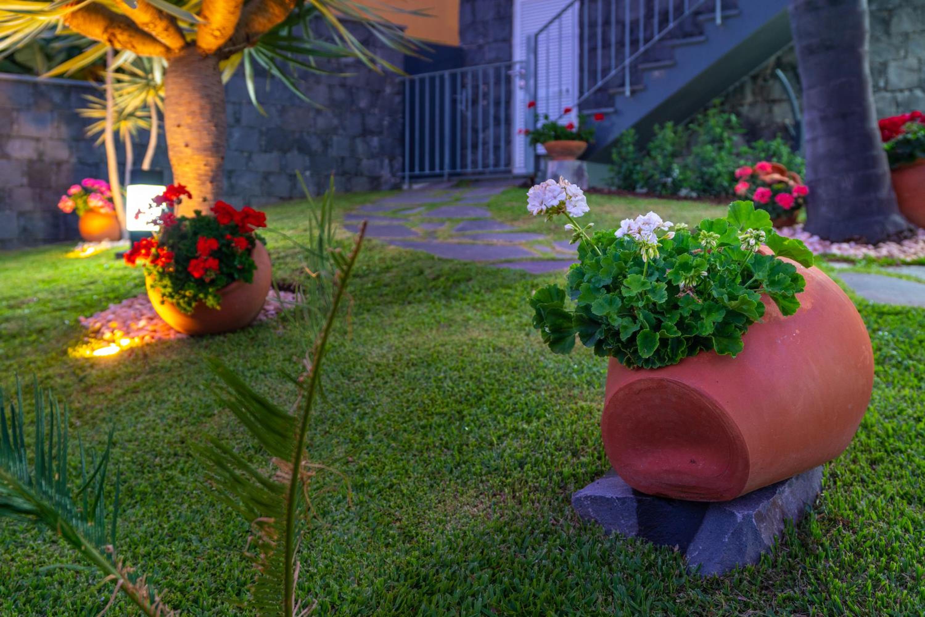 Zeza´s Garden view 3