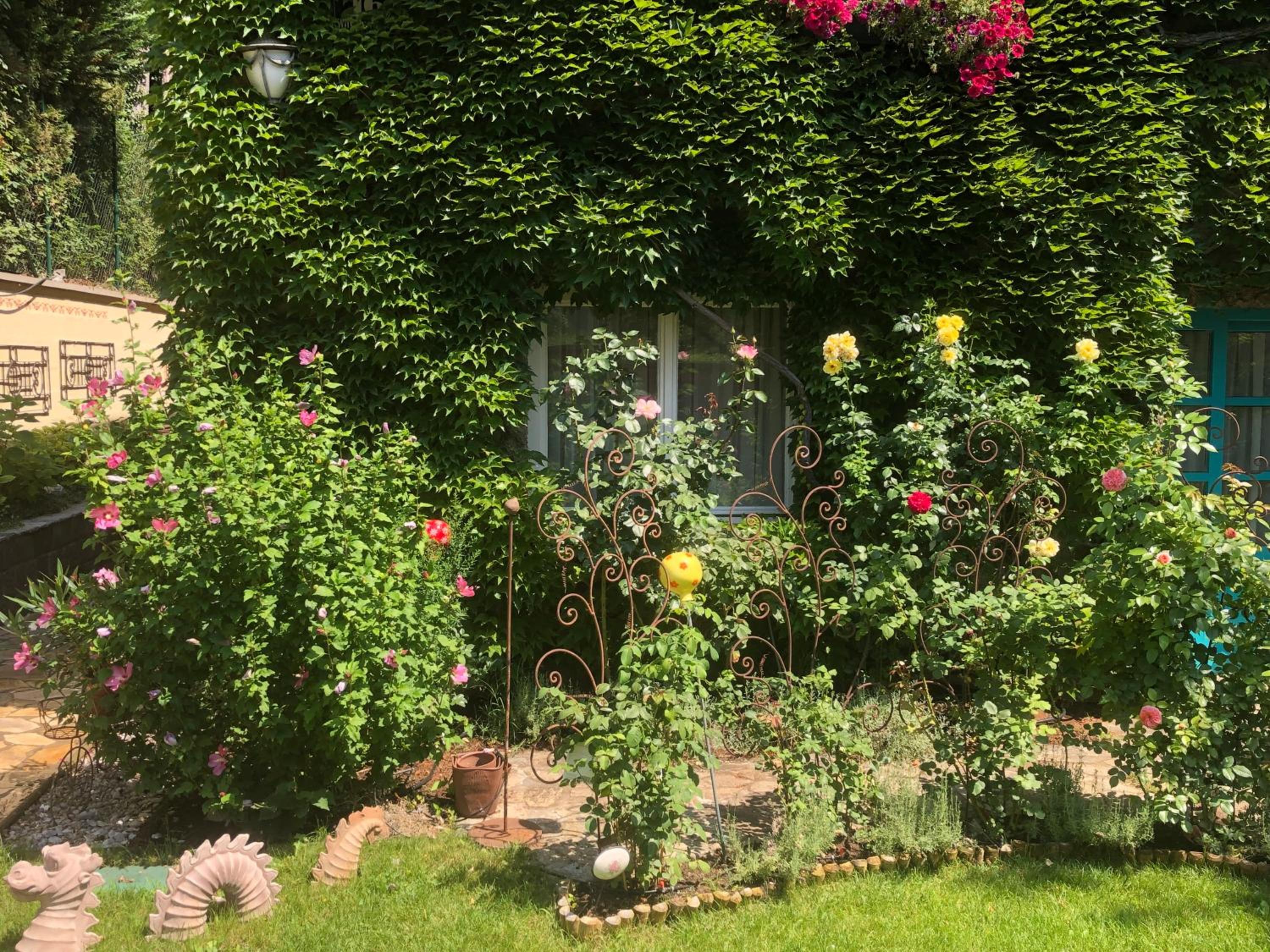 Schoenbrunn Gardens Deluxe Apartment