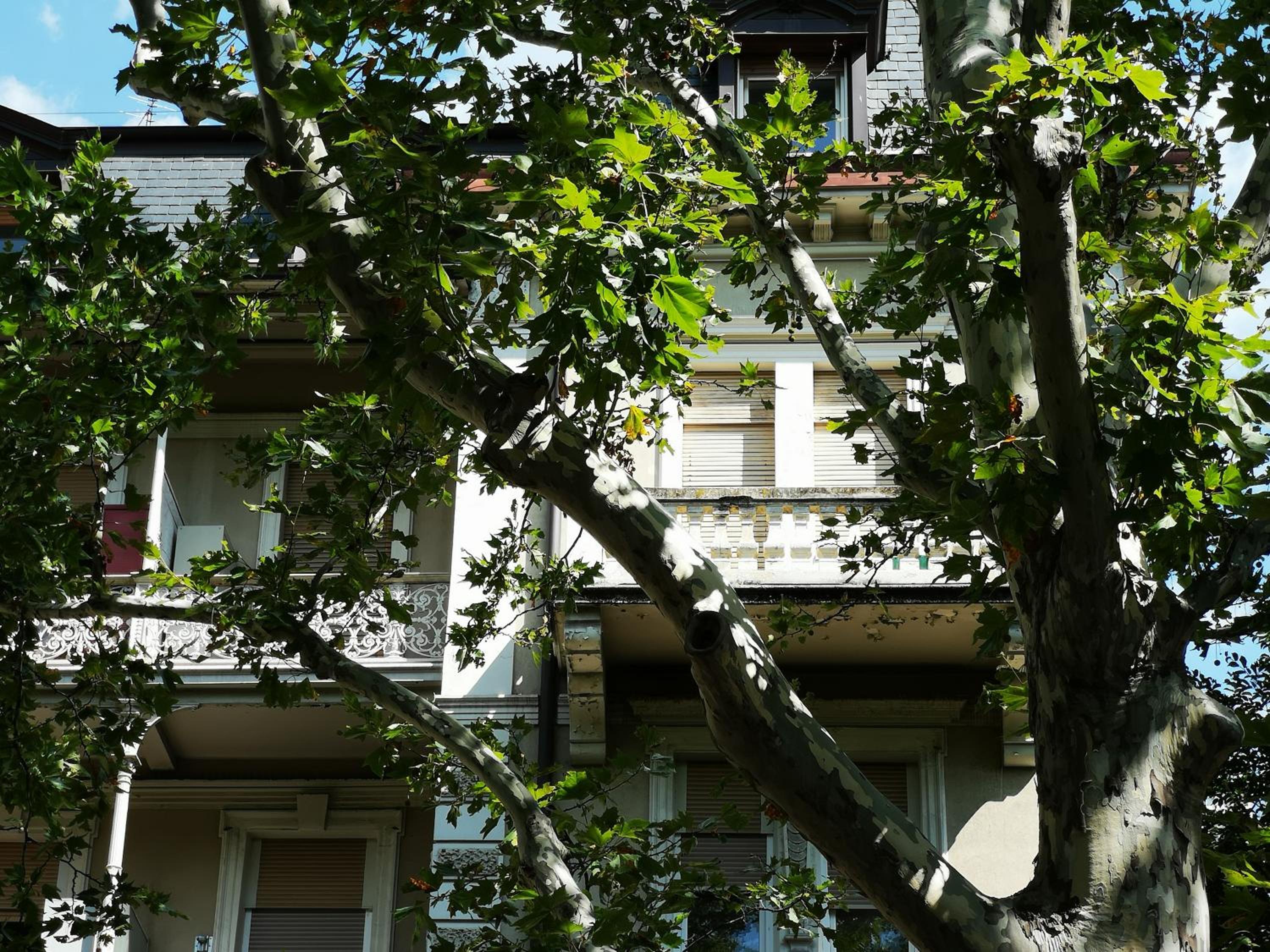 Spazioso e accogliente nel centro di Merano view 4