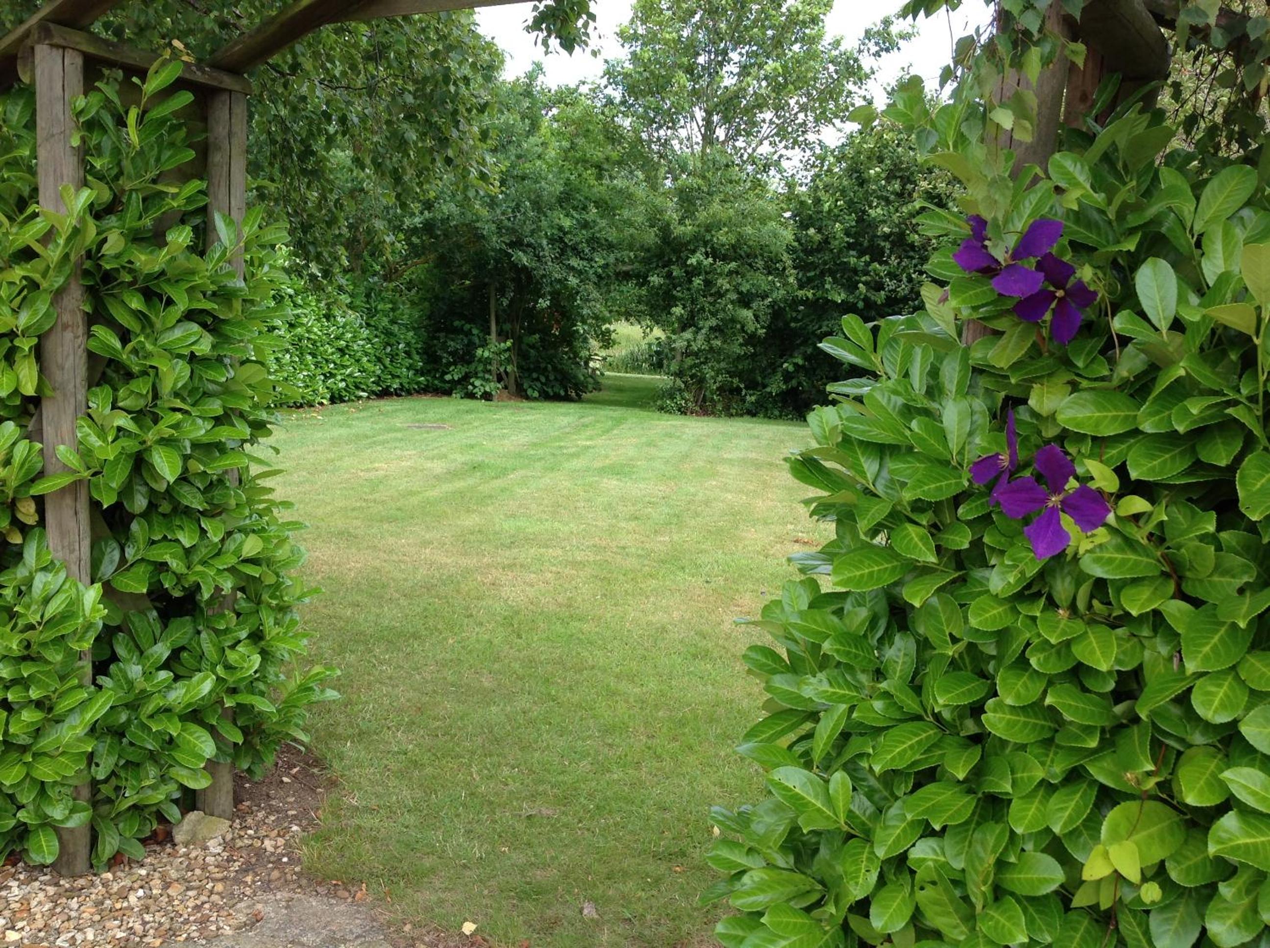 Photo 22