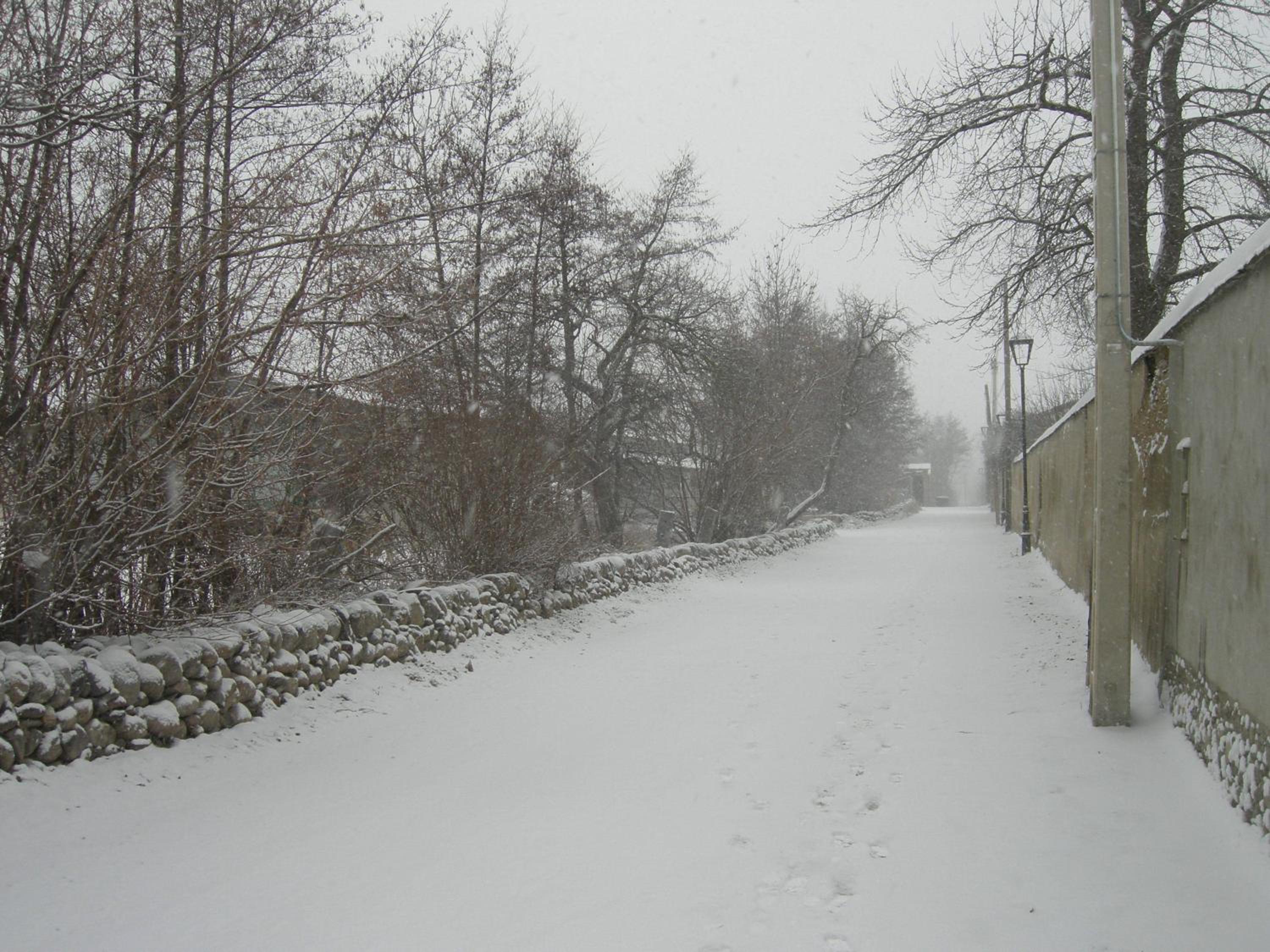 Mas d'Aravó