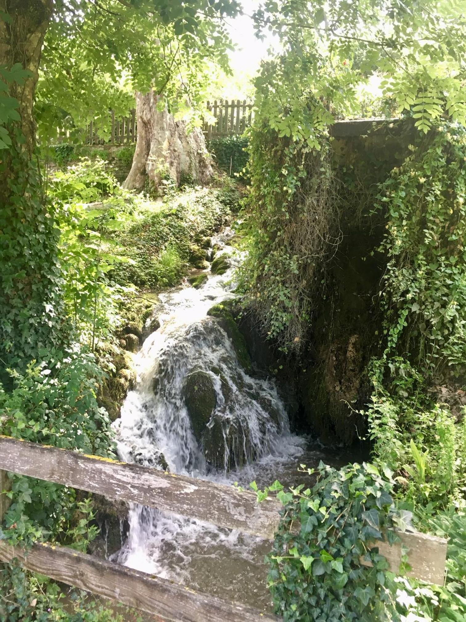 Photo 9