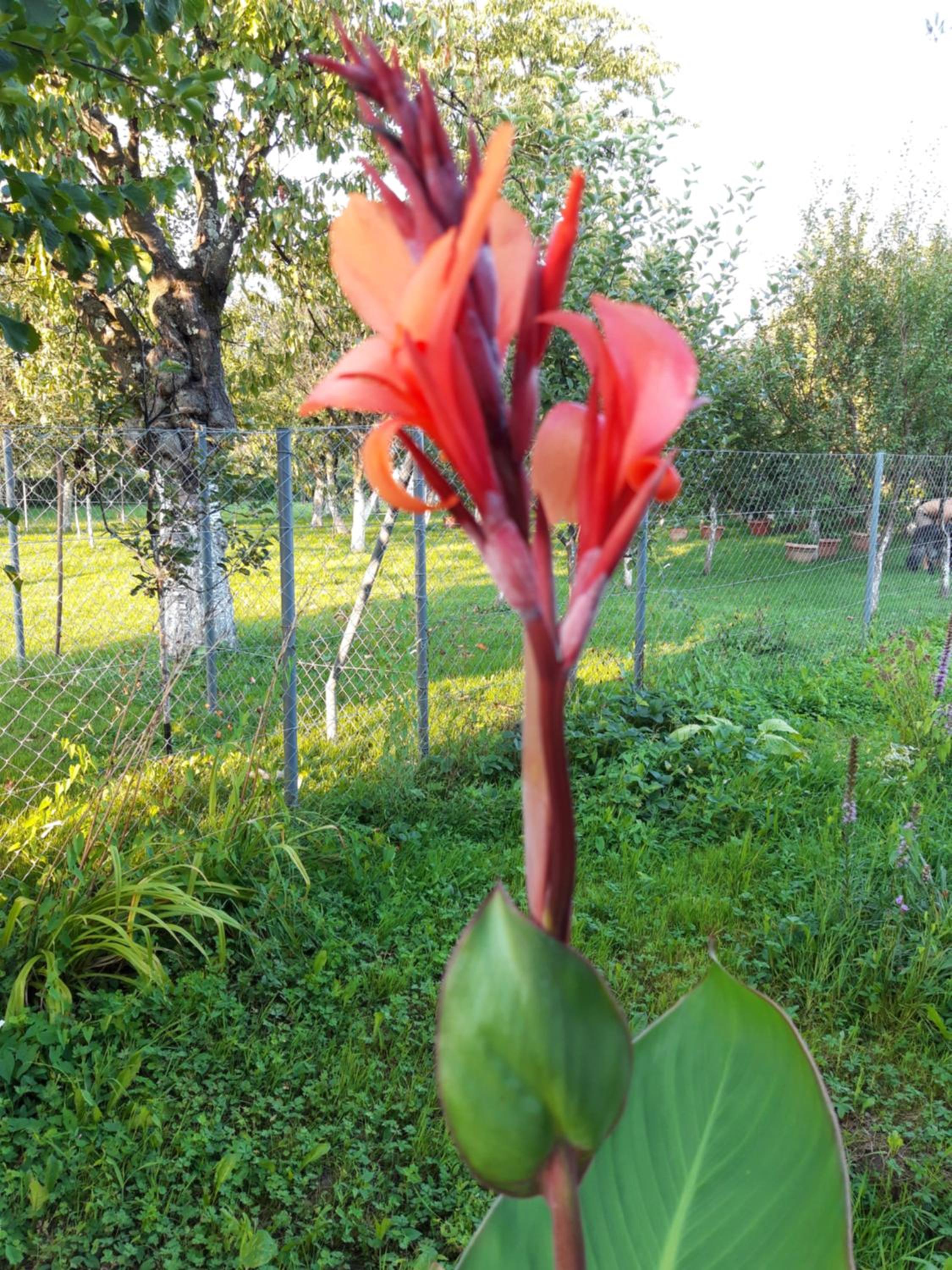 Photo 38