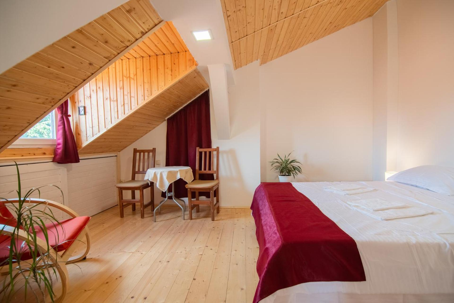 Bed&Wood in Center of Oradea 1 view 4