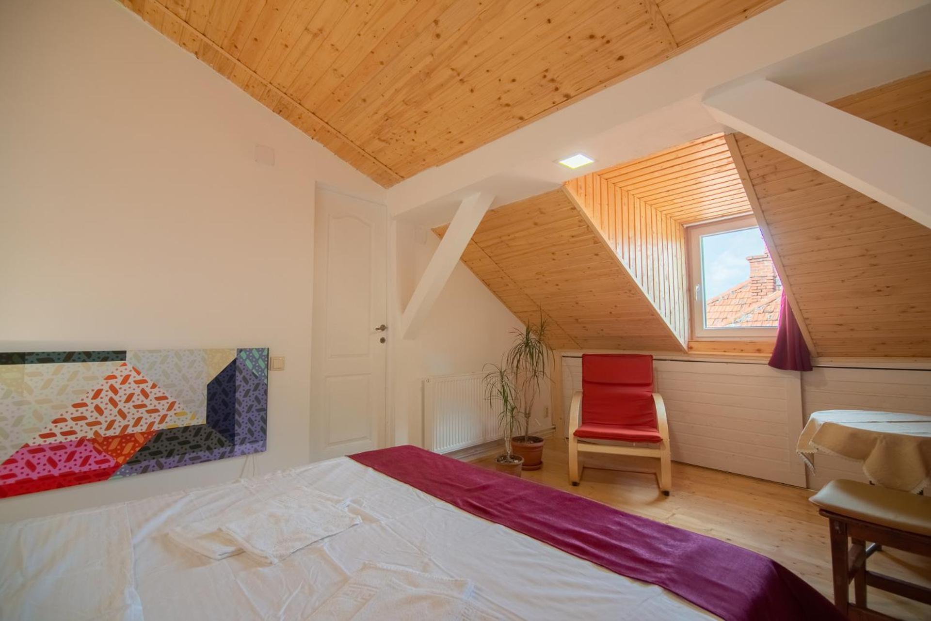 Bed&Wood in Center of Oradea 1 view 5