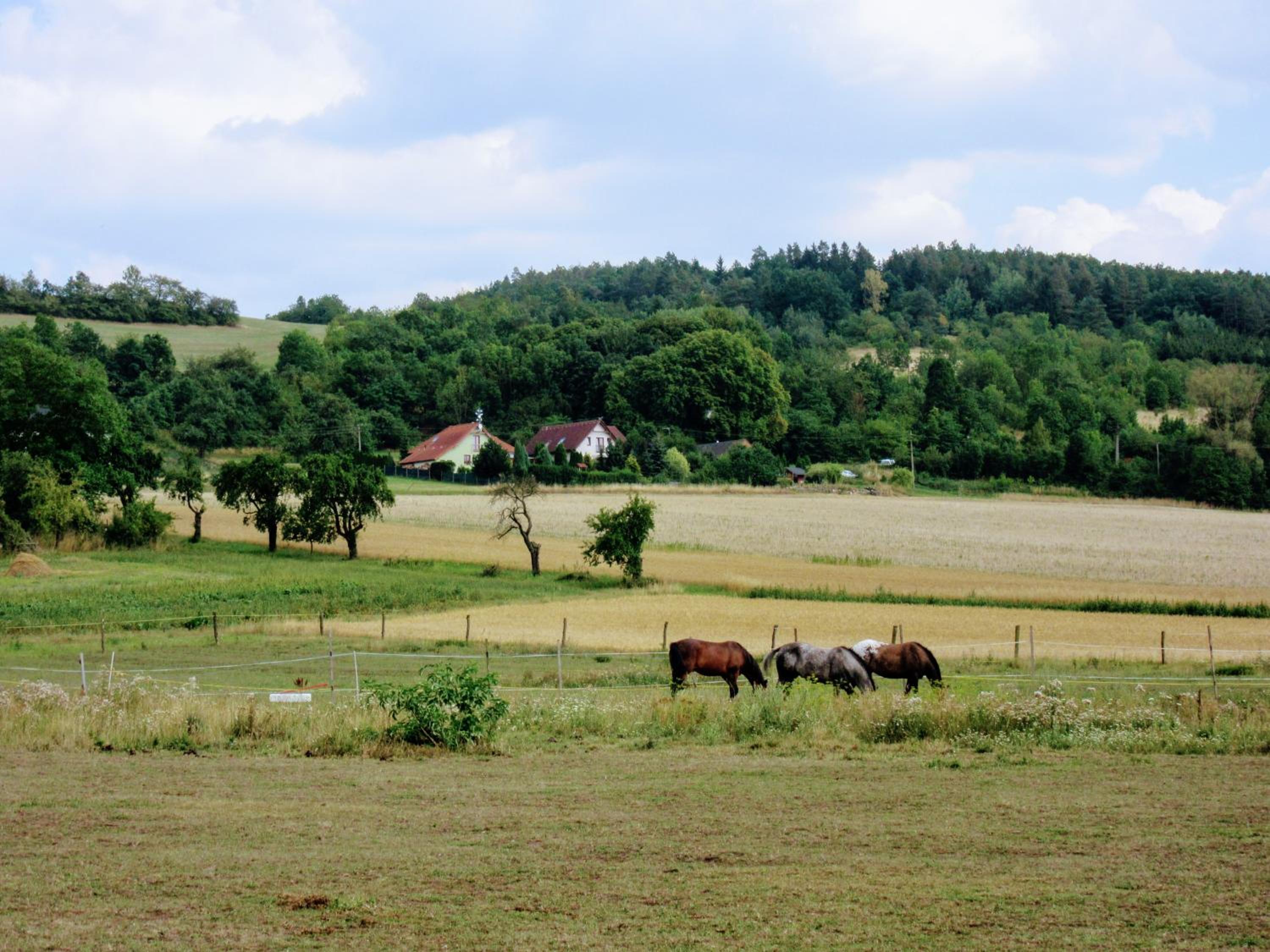 Apartmá Za kopcem