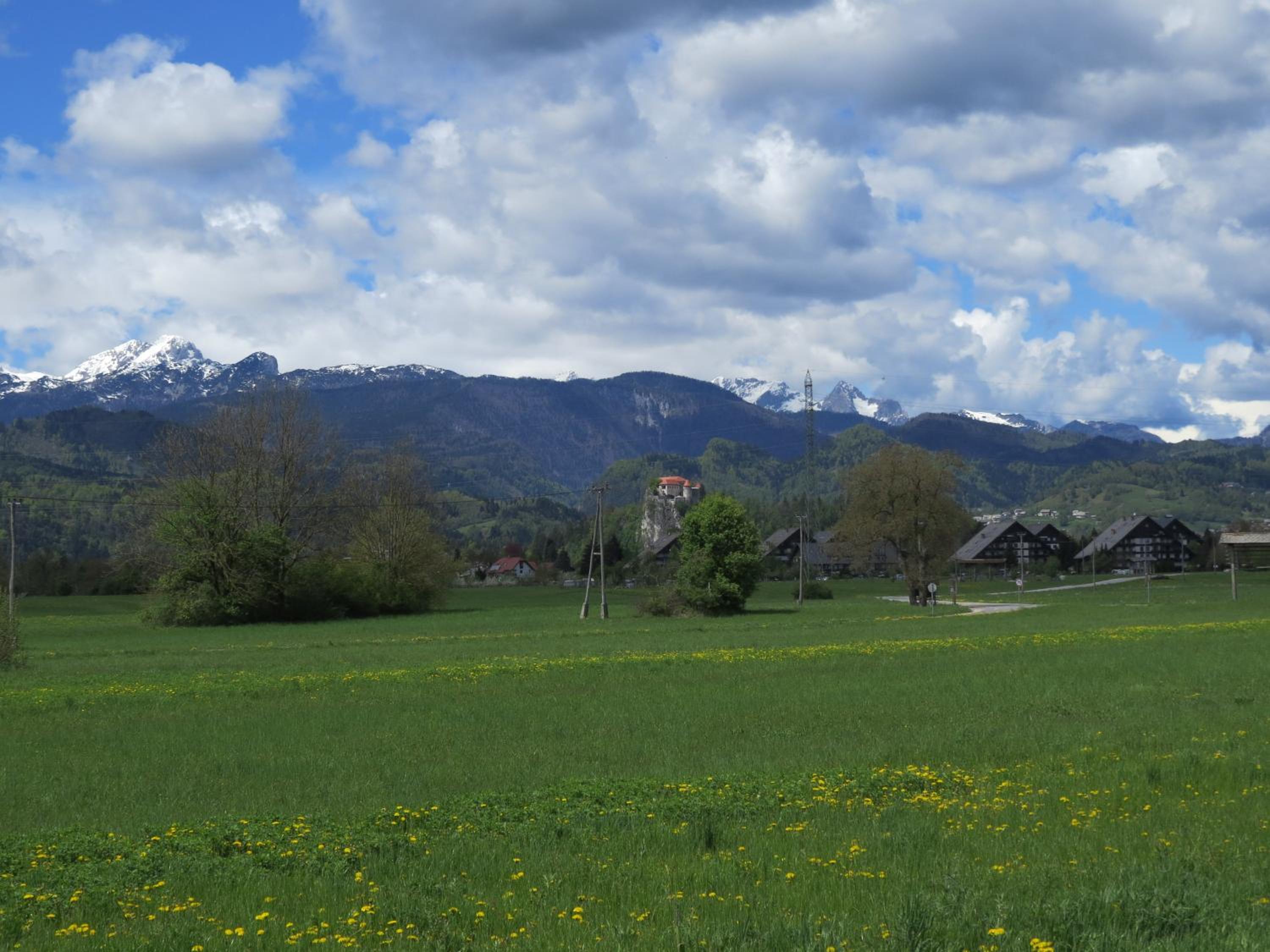Photo 24