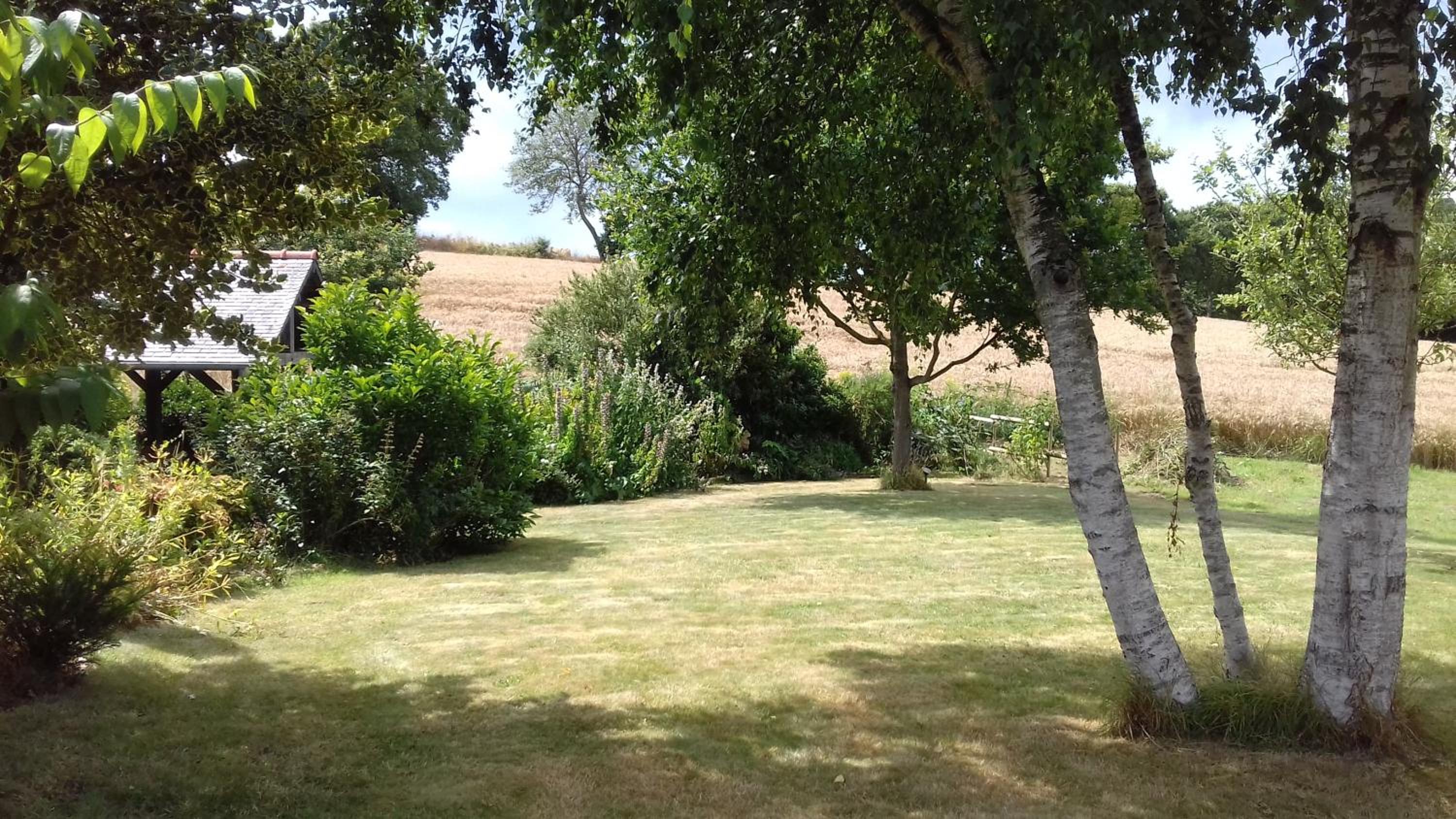 Photo 25