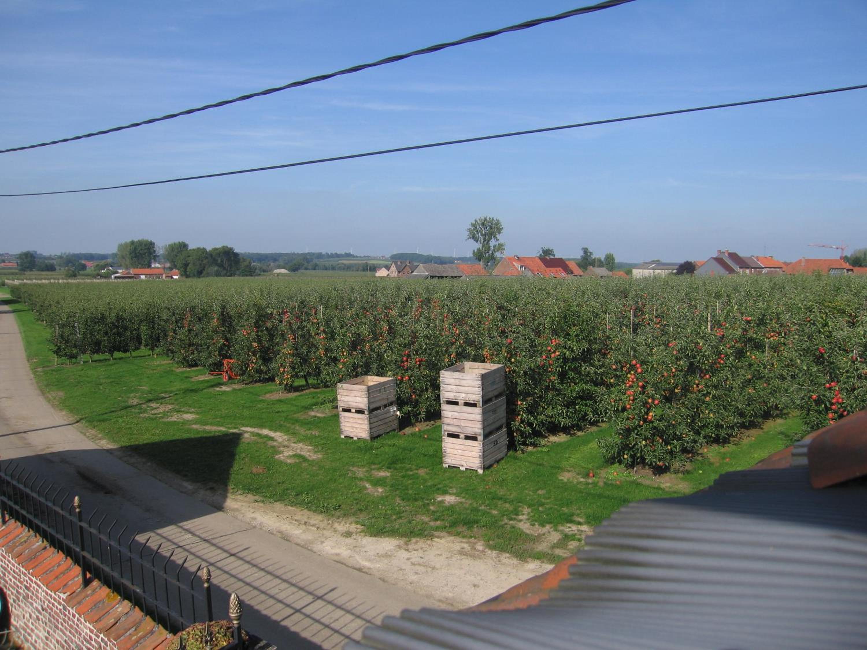 B&B Hoeve Ransberg