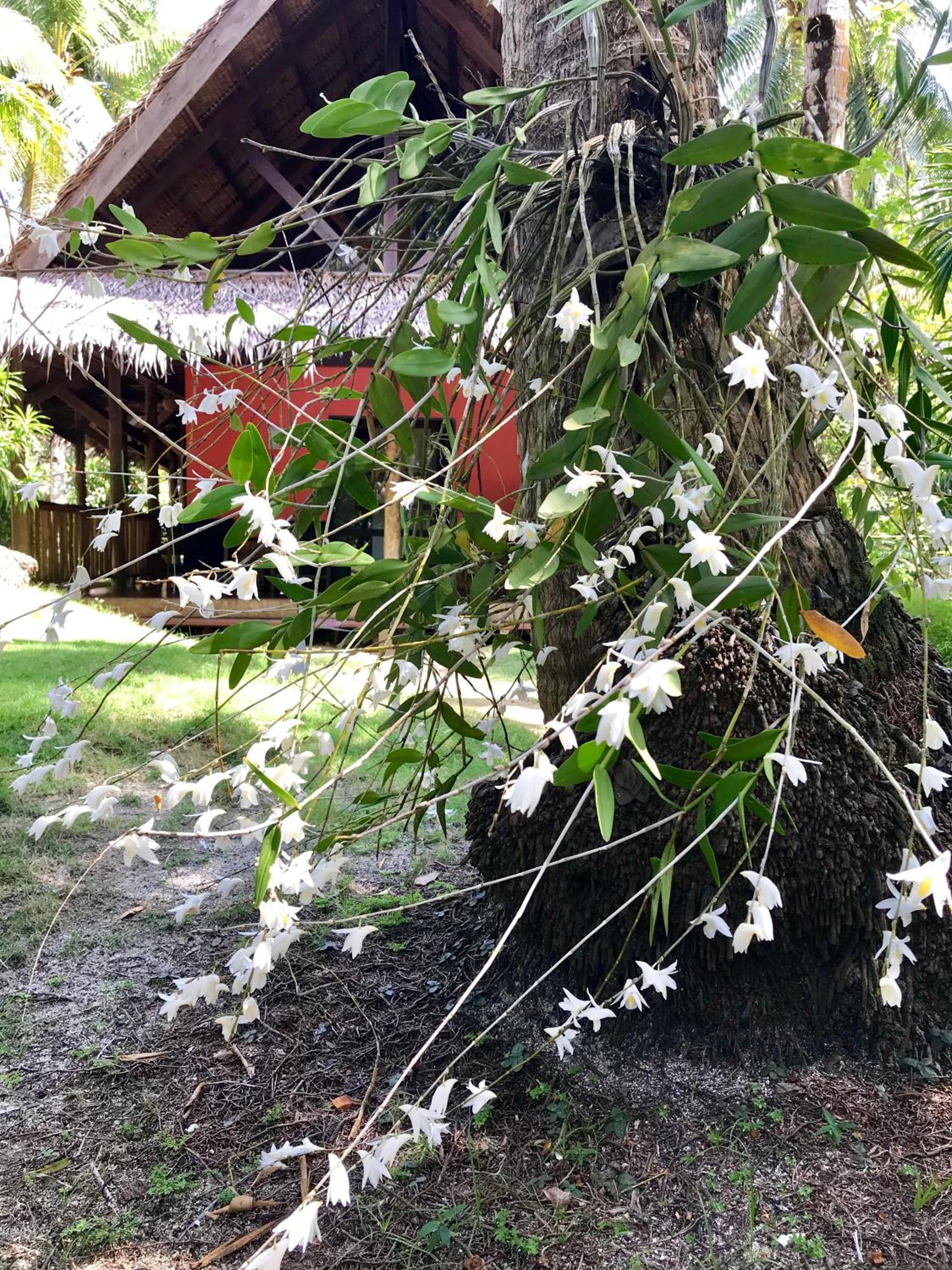 Photo 43