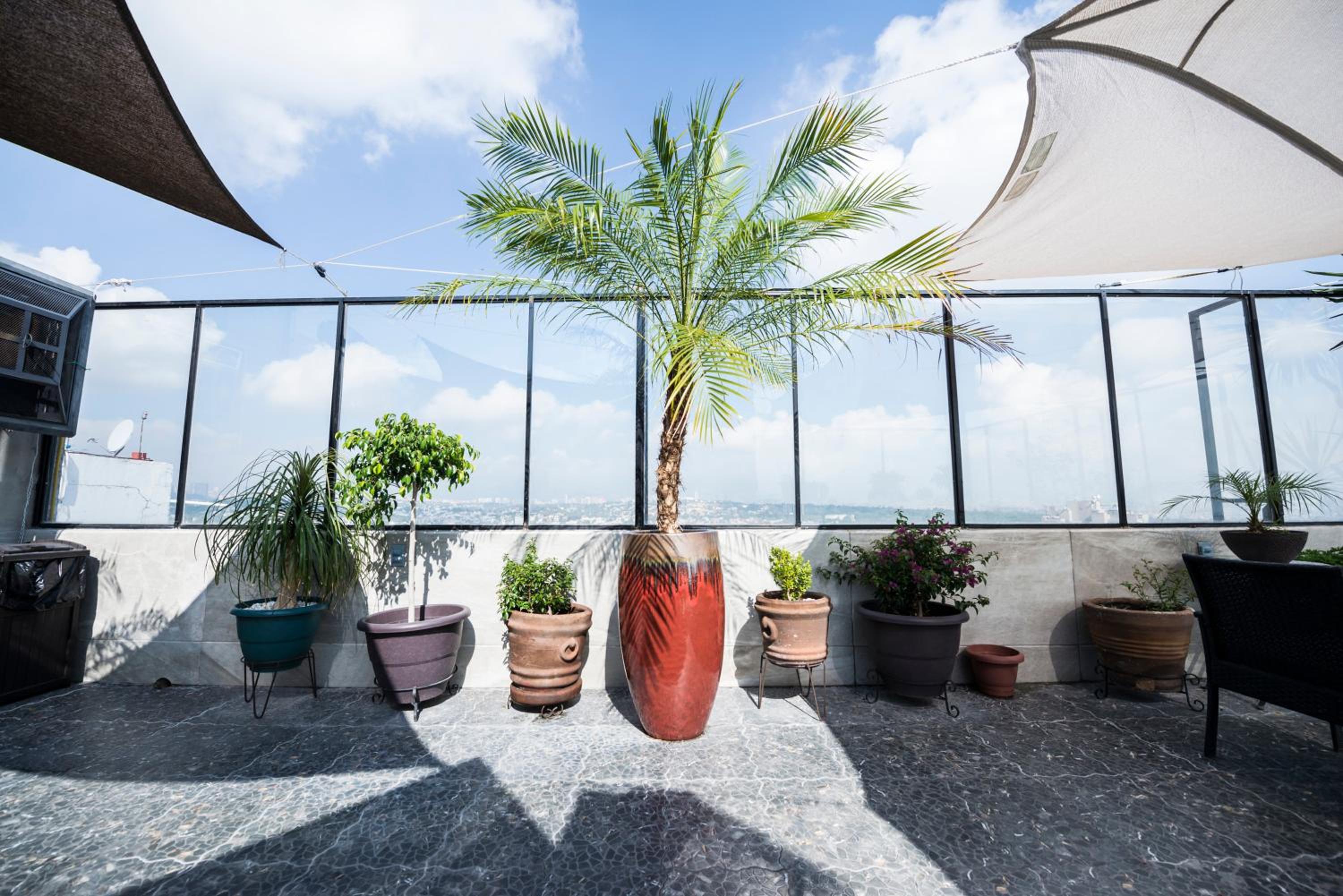 roof