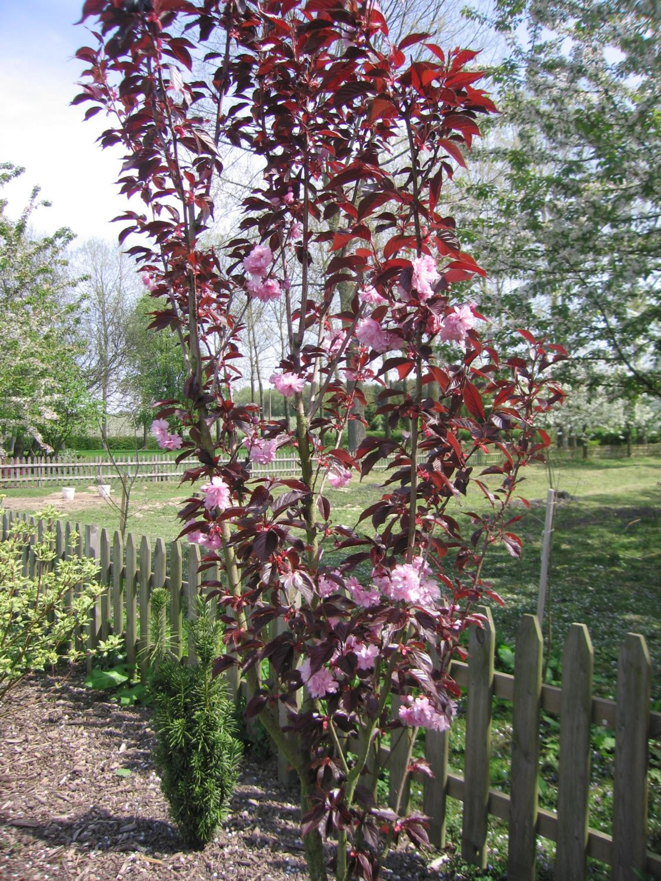 B&B Hoeve Ransberg