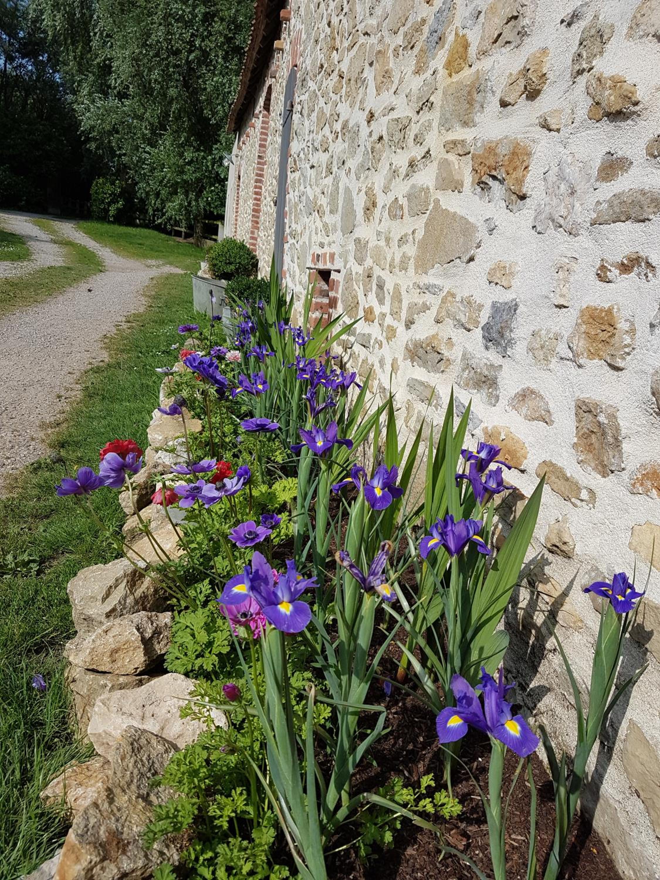 Photo 12