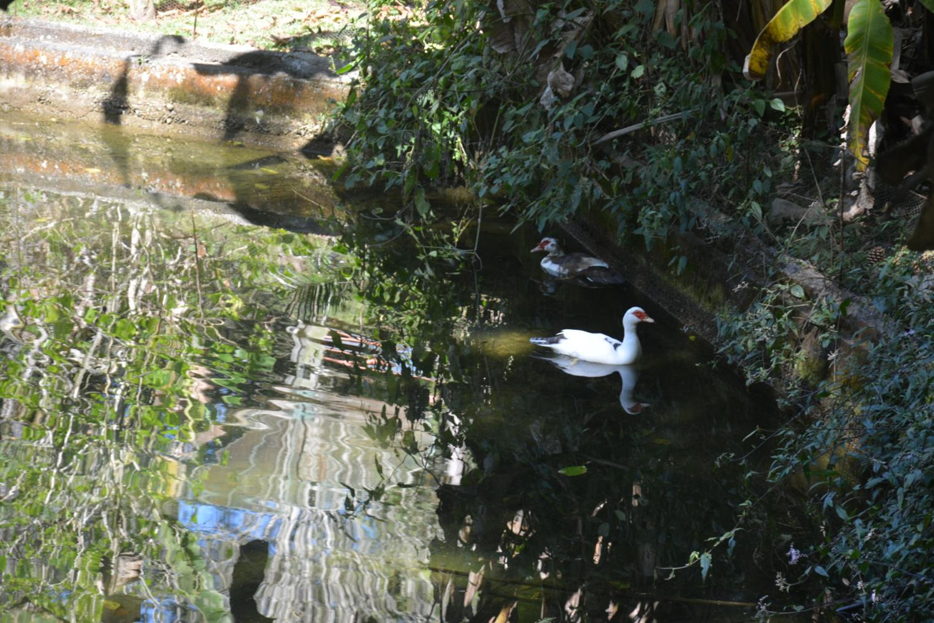 Photo 46