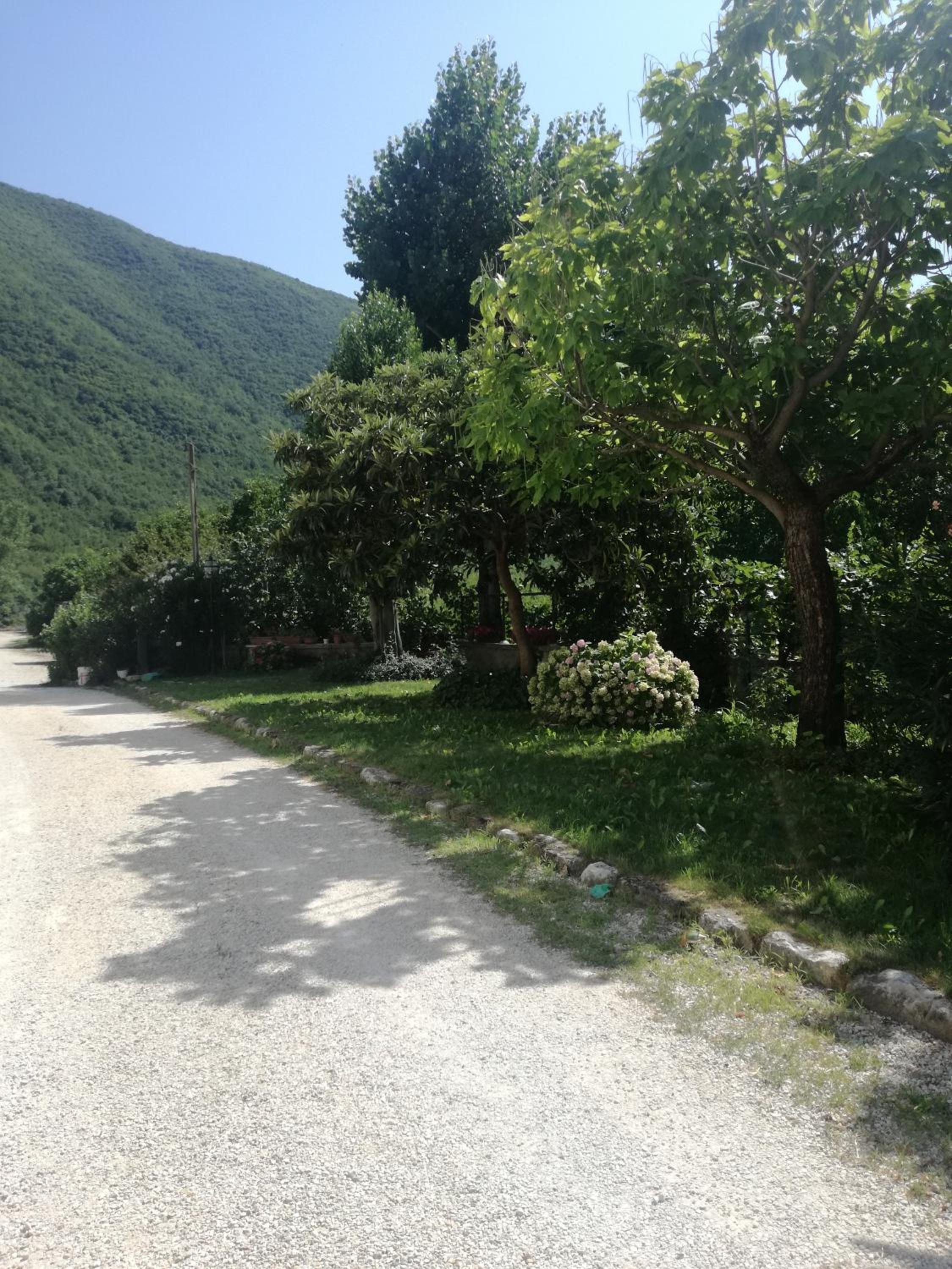 Photo 29