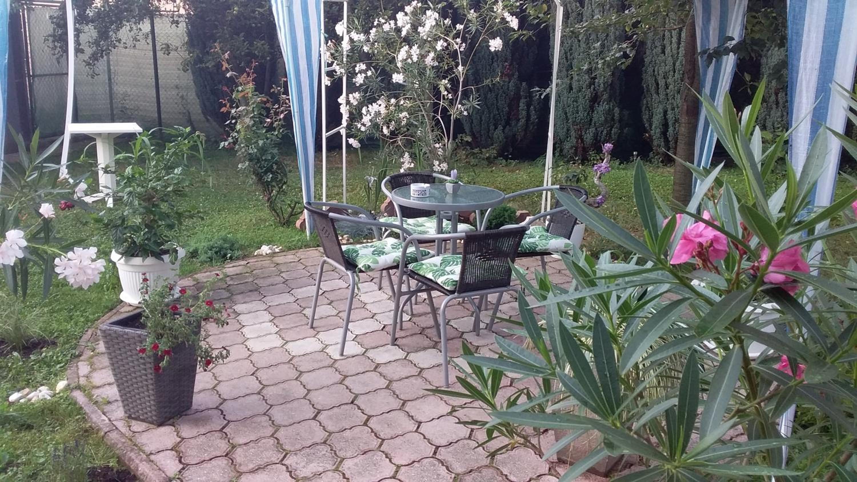 Photo 38