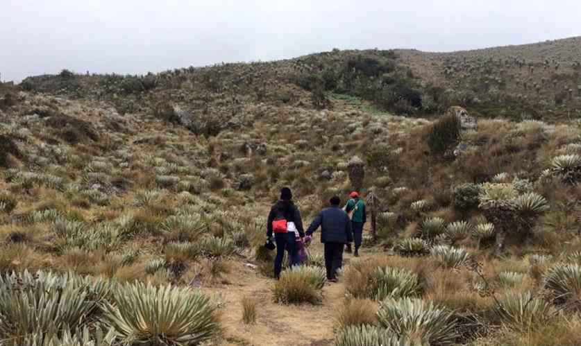 Cabaña Los Llanitos Hospedaje Campestre