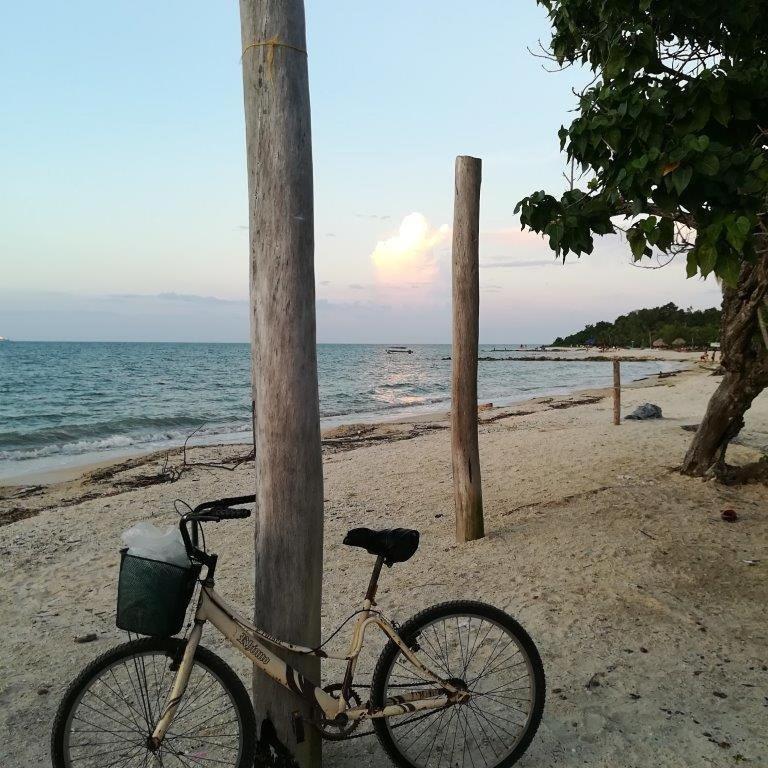 Photo 43