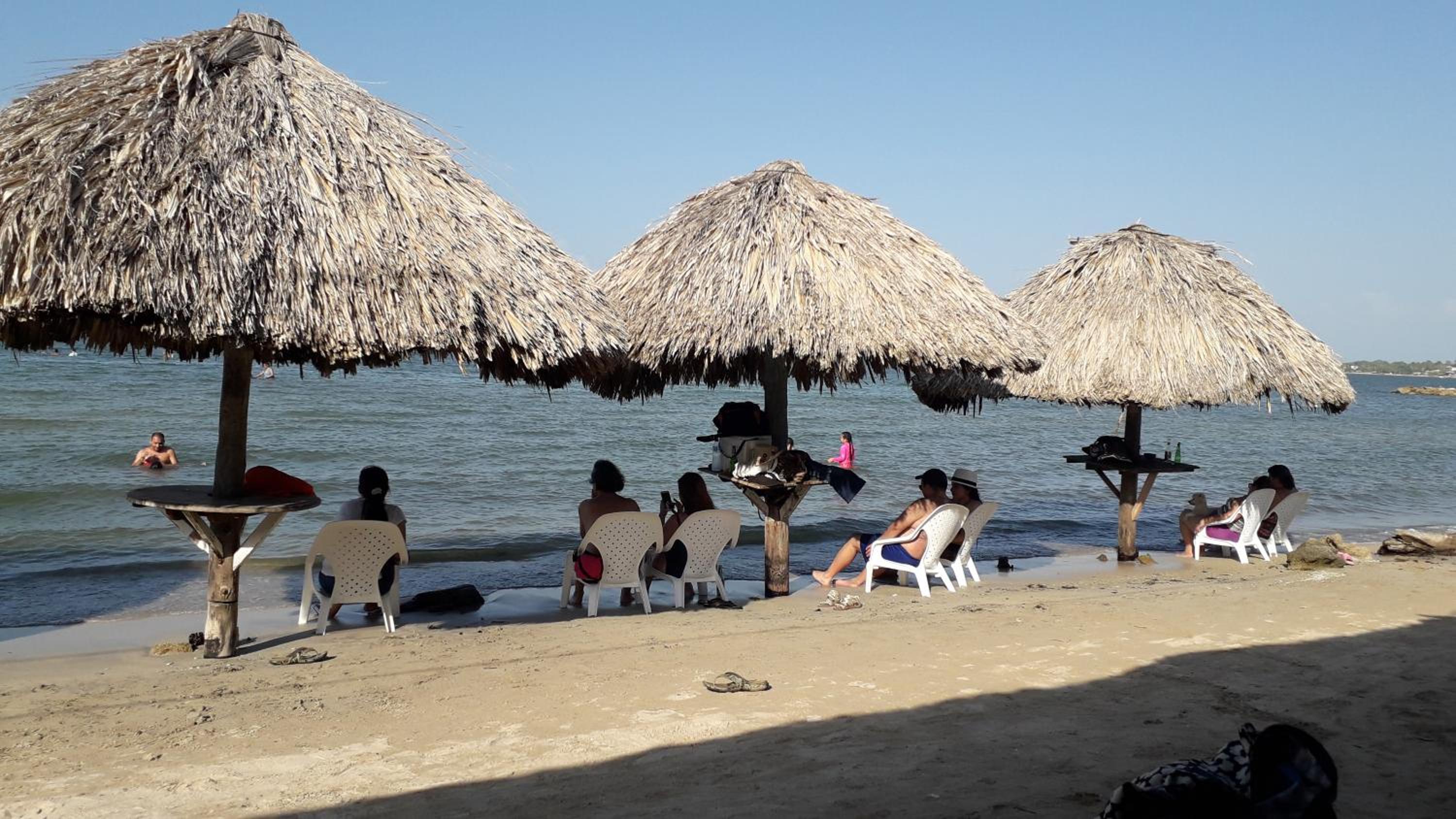 Monkey Afro Hostel view 4