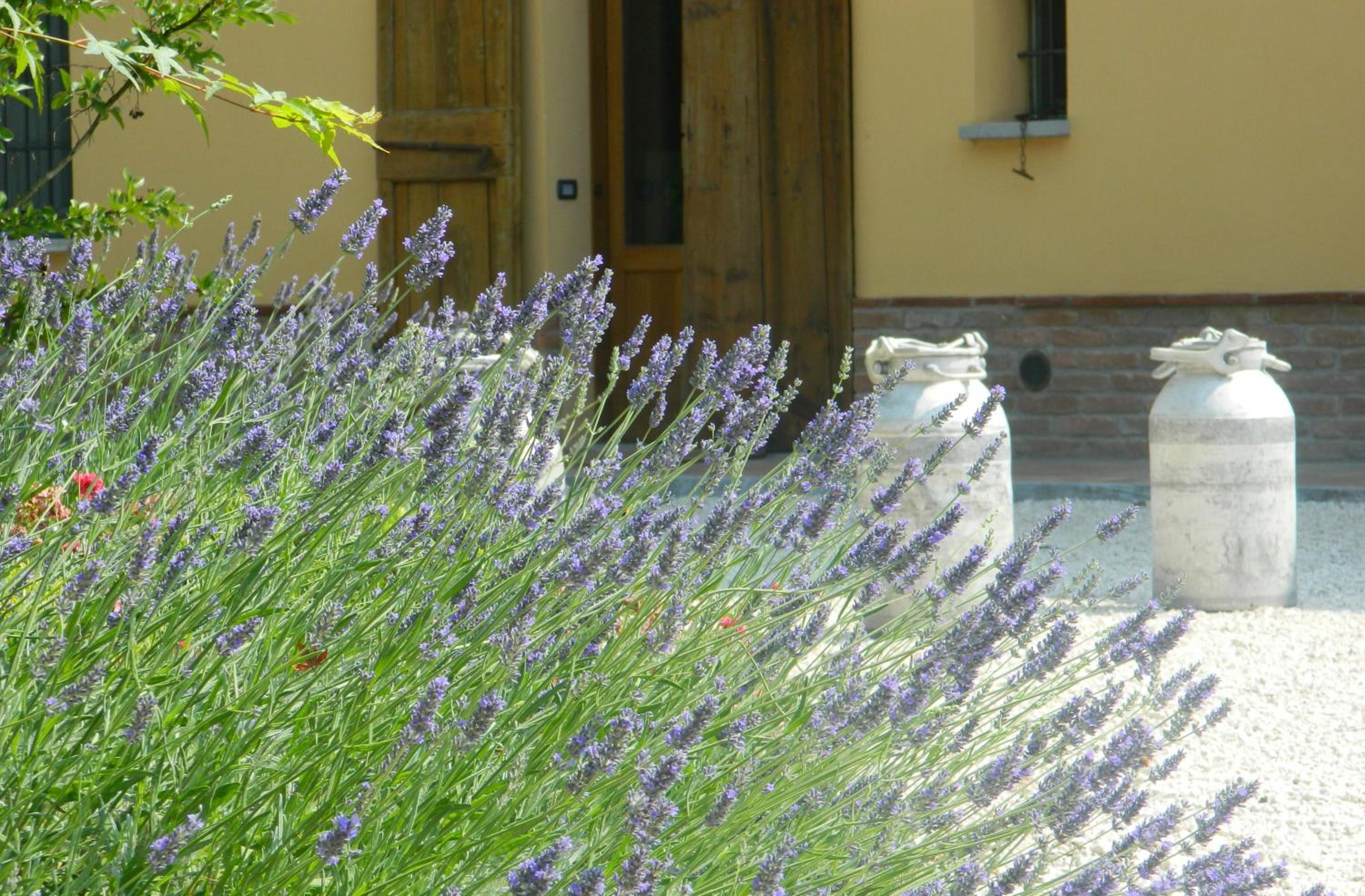 Agriturismo Cascina Pezzolo