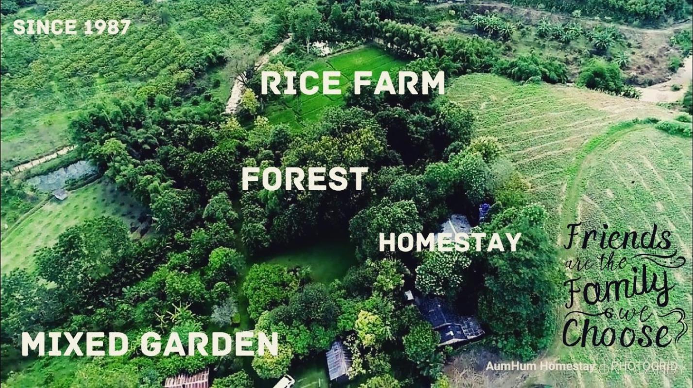 Aum Hum Homestay