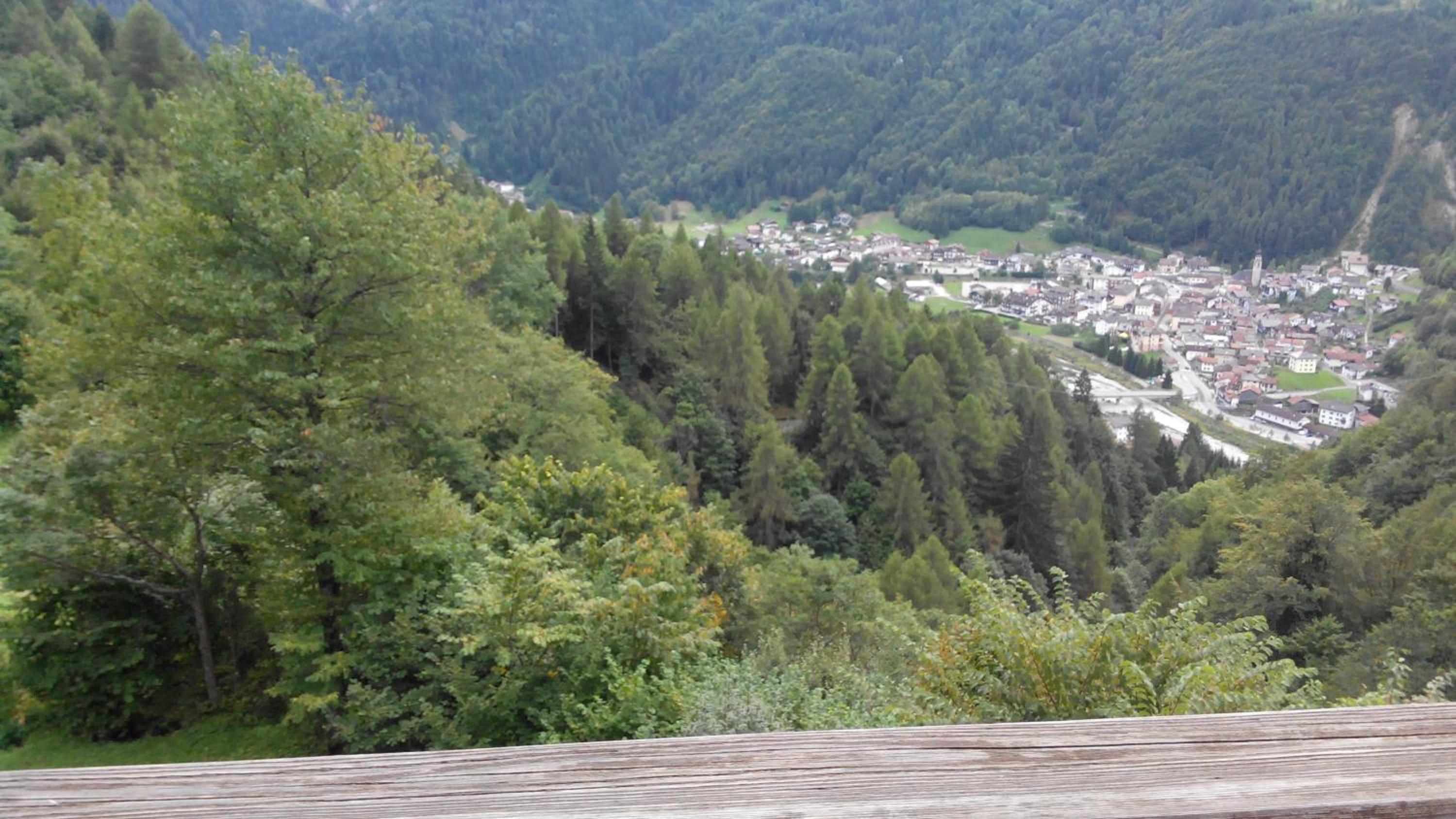 Photo 44