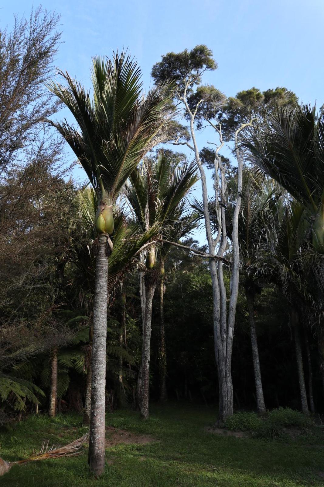 Photo 20