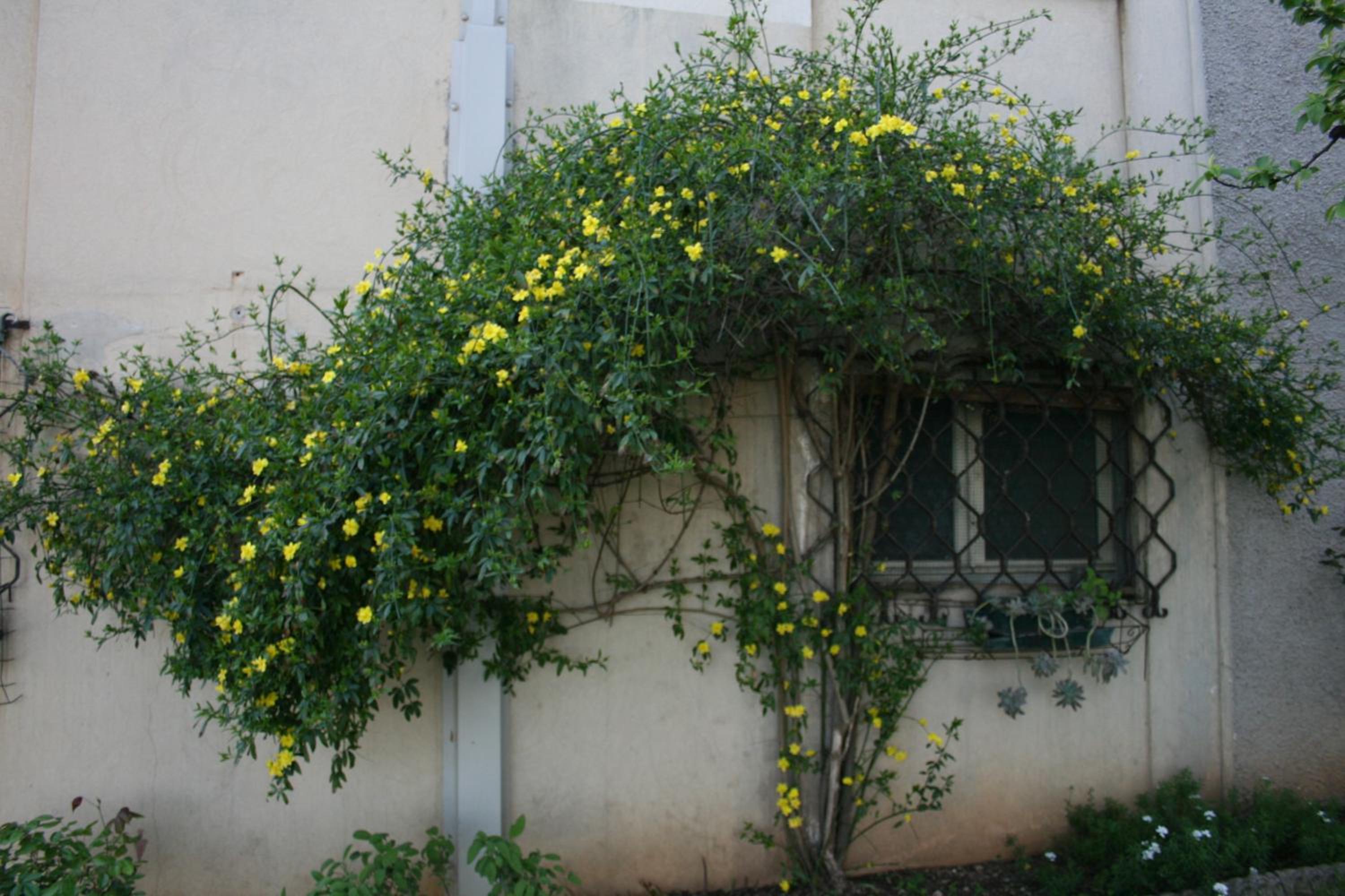 Photo 45