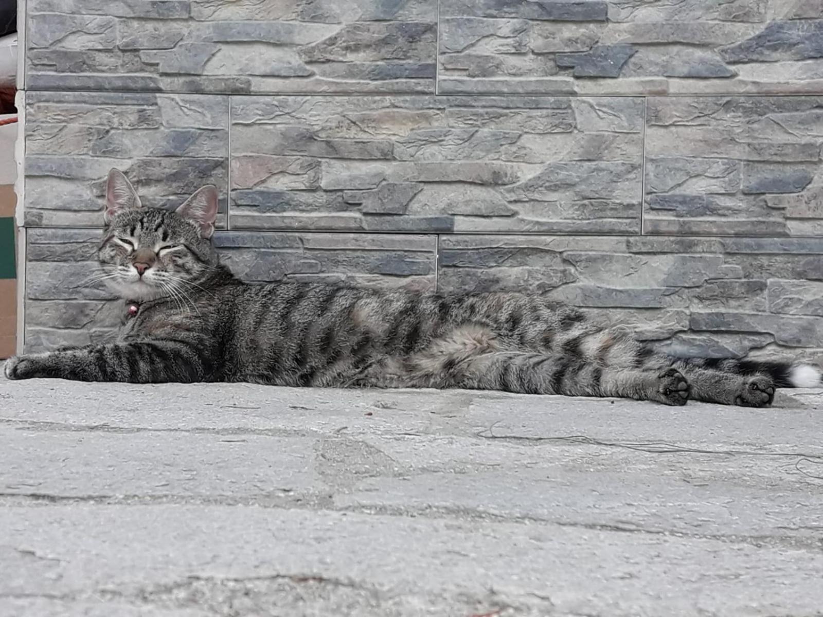 Photo 28