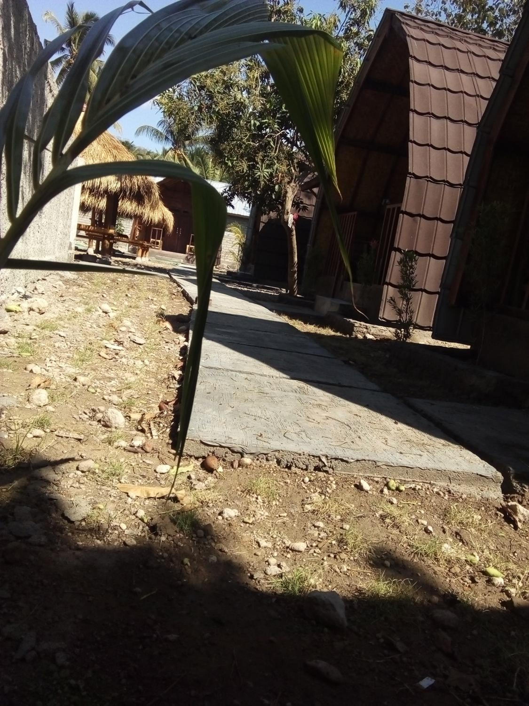 Photo 23