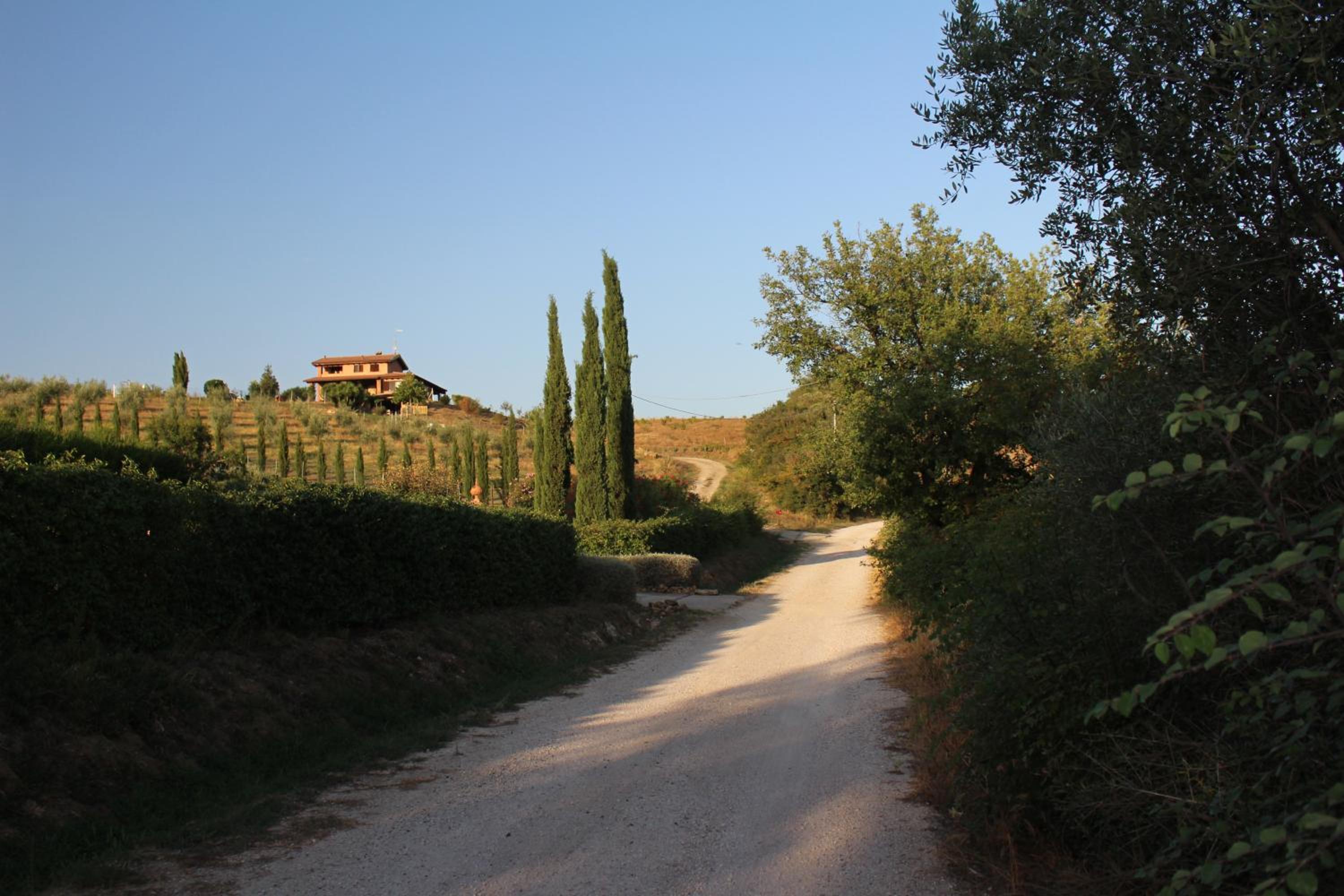 Maremma che vista! view 2