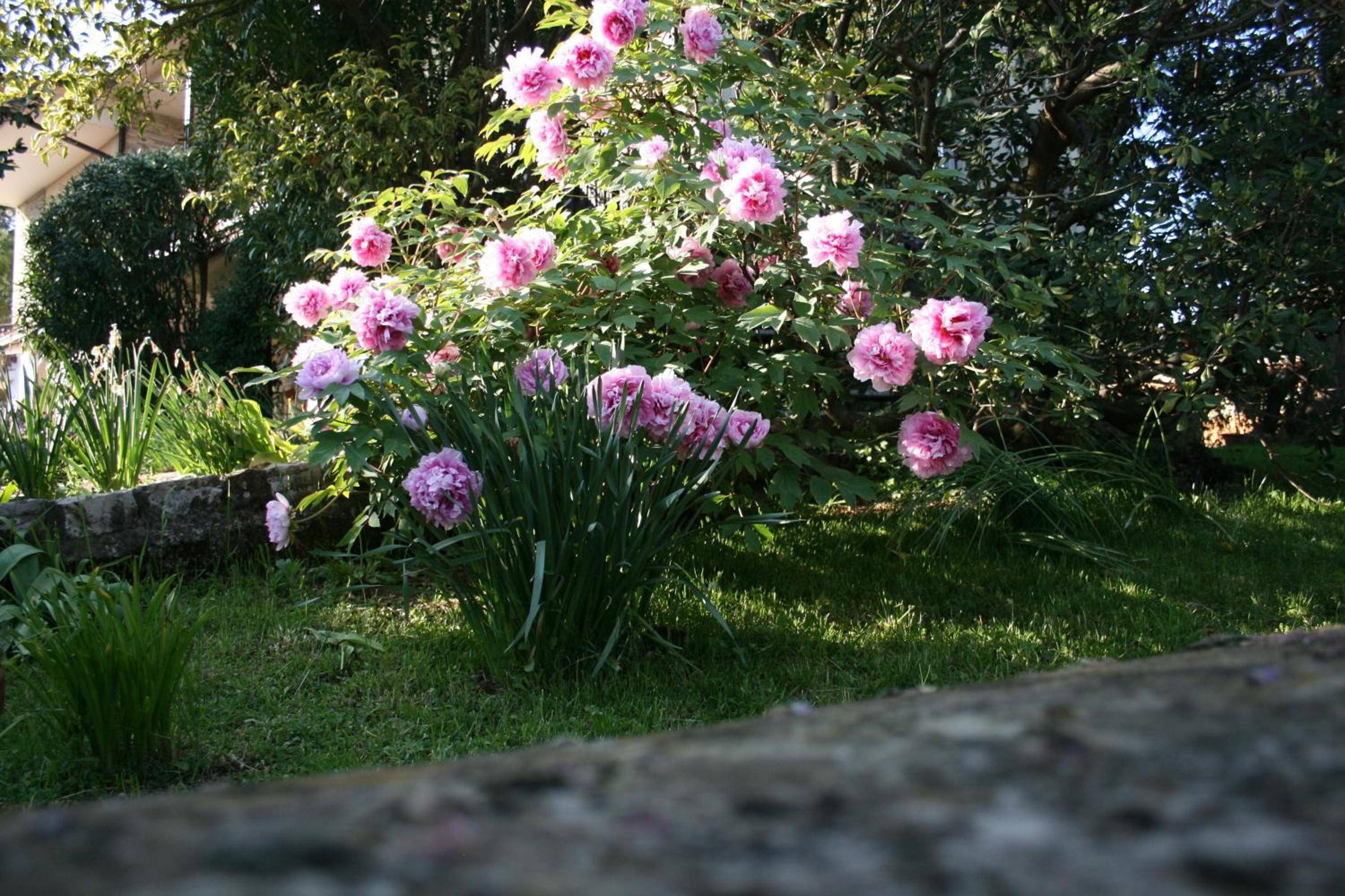 Photo 25
