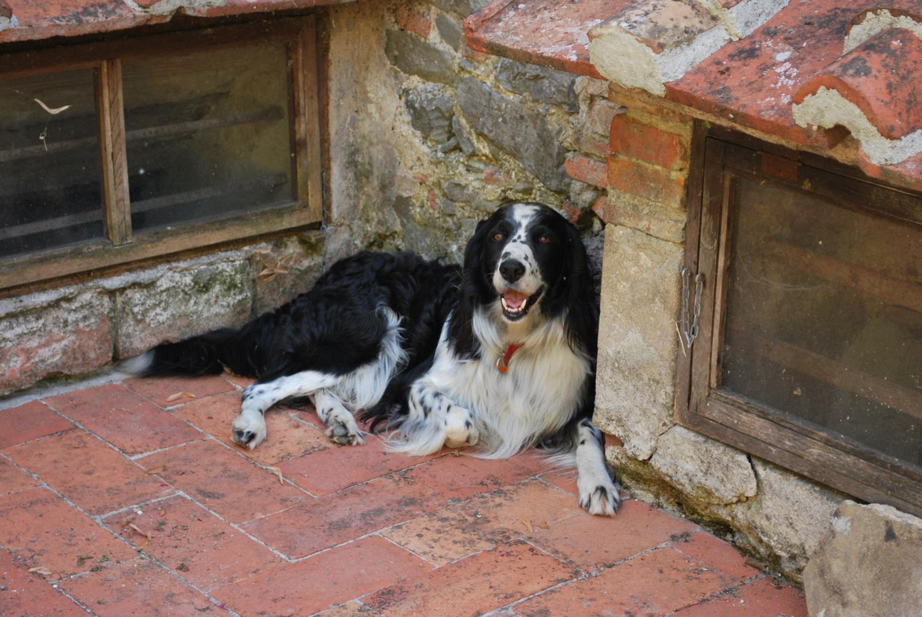 A Casa Del Tosi