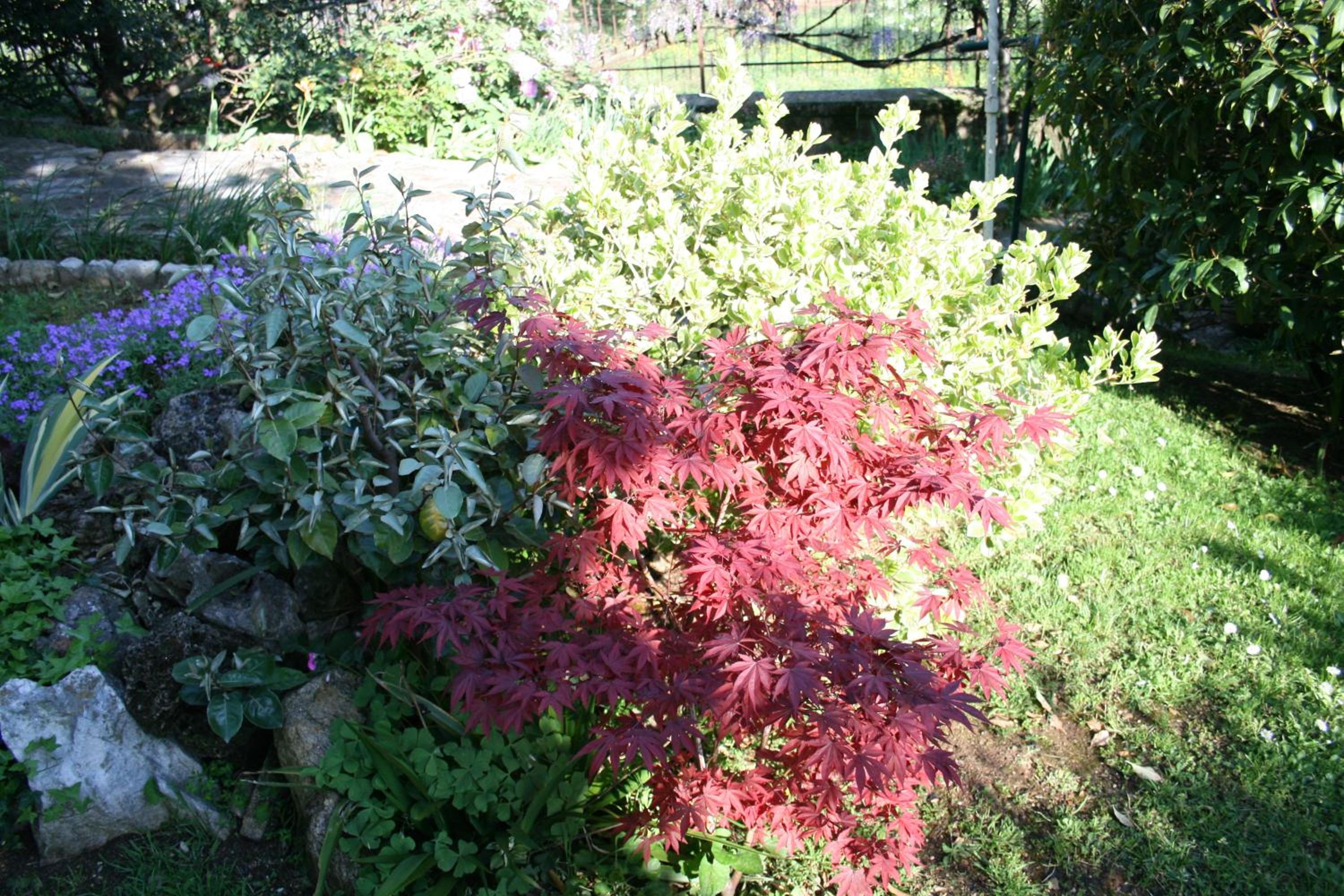 Photo 26