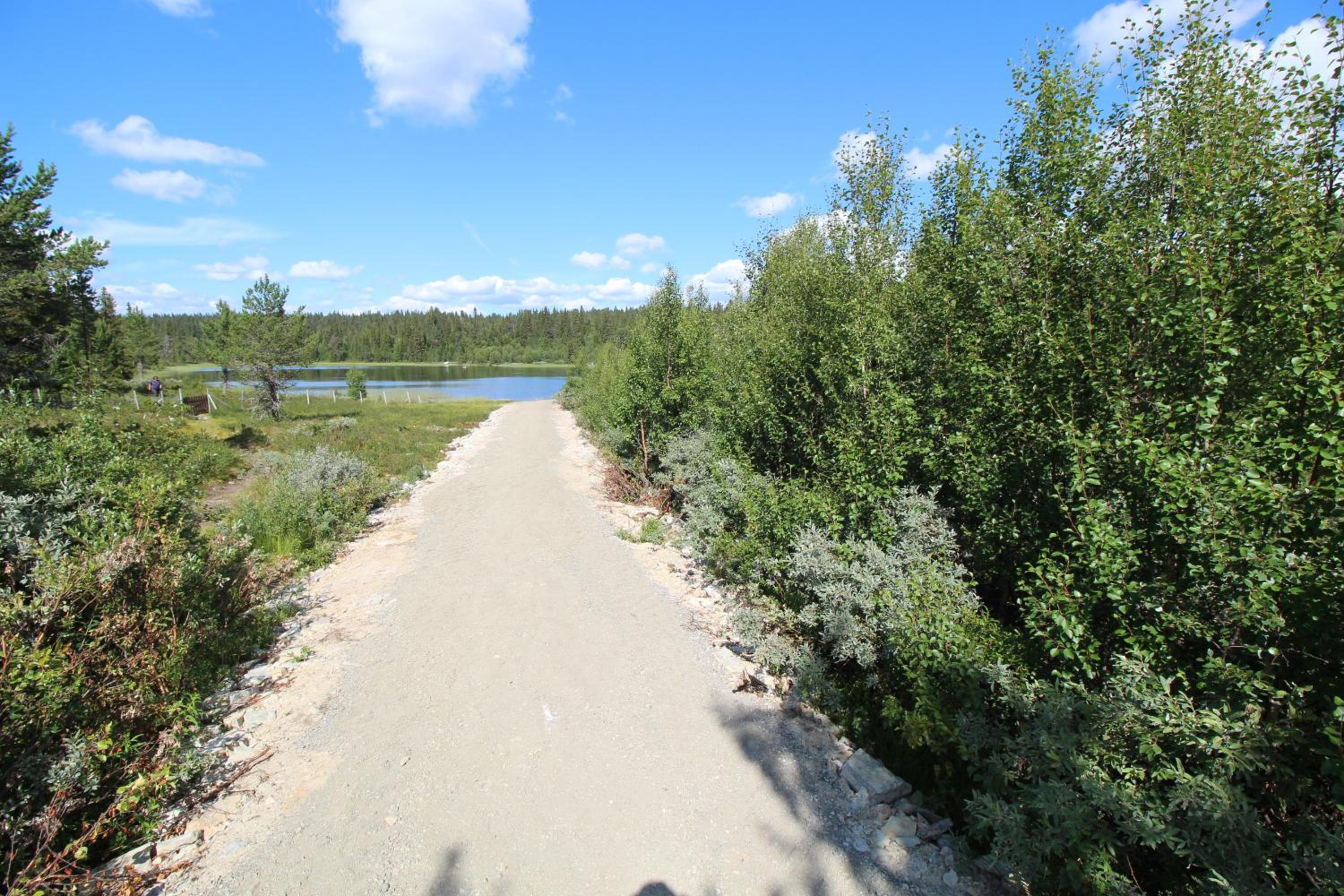 Photo 15