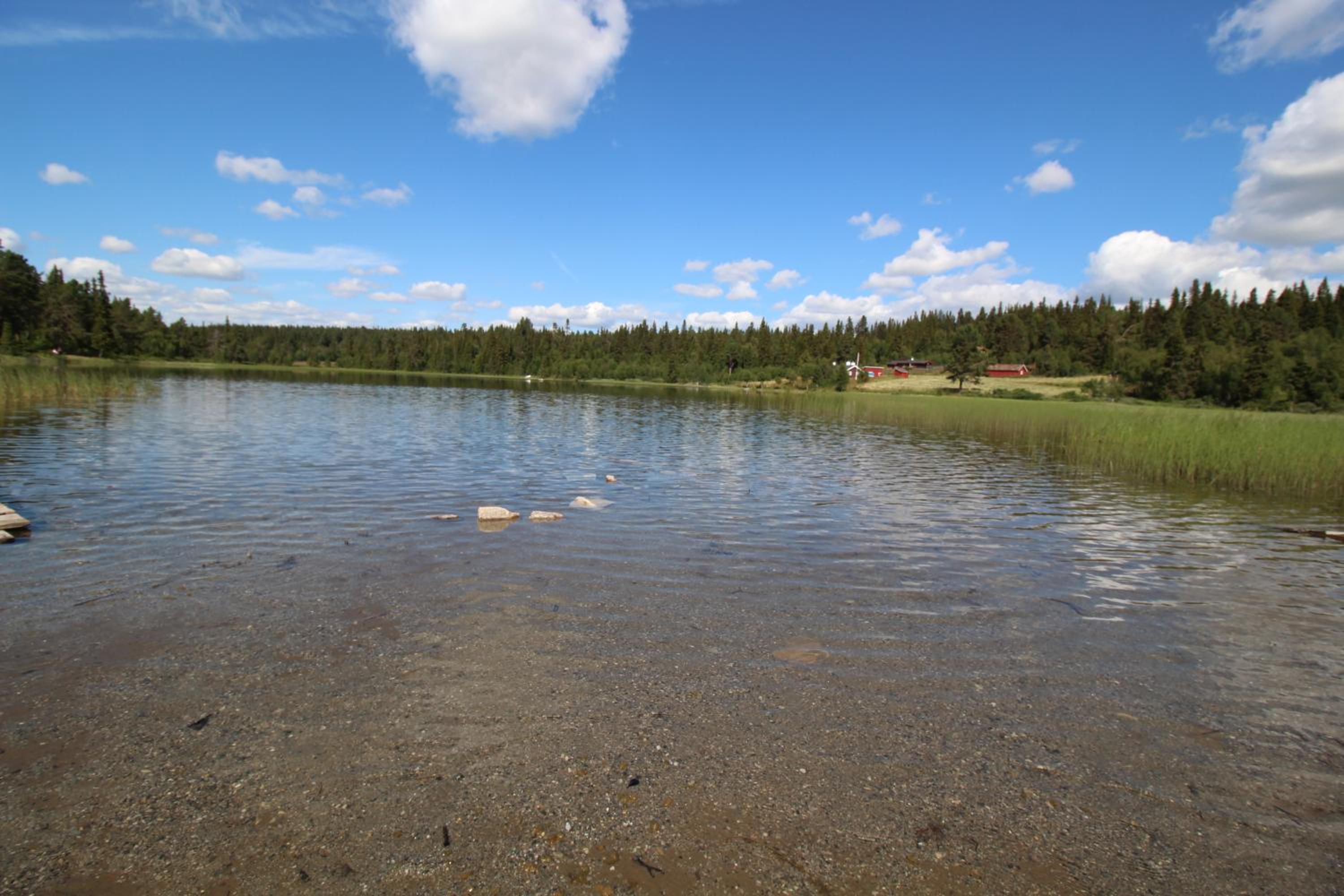 Photo 16