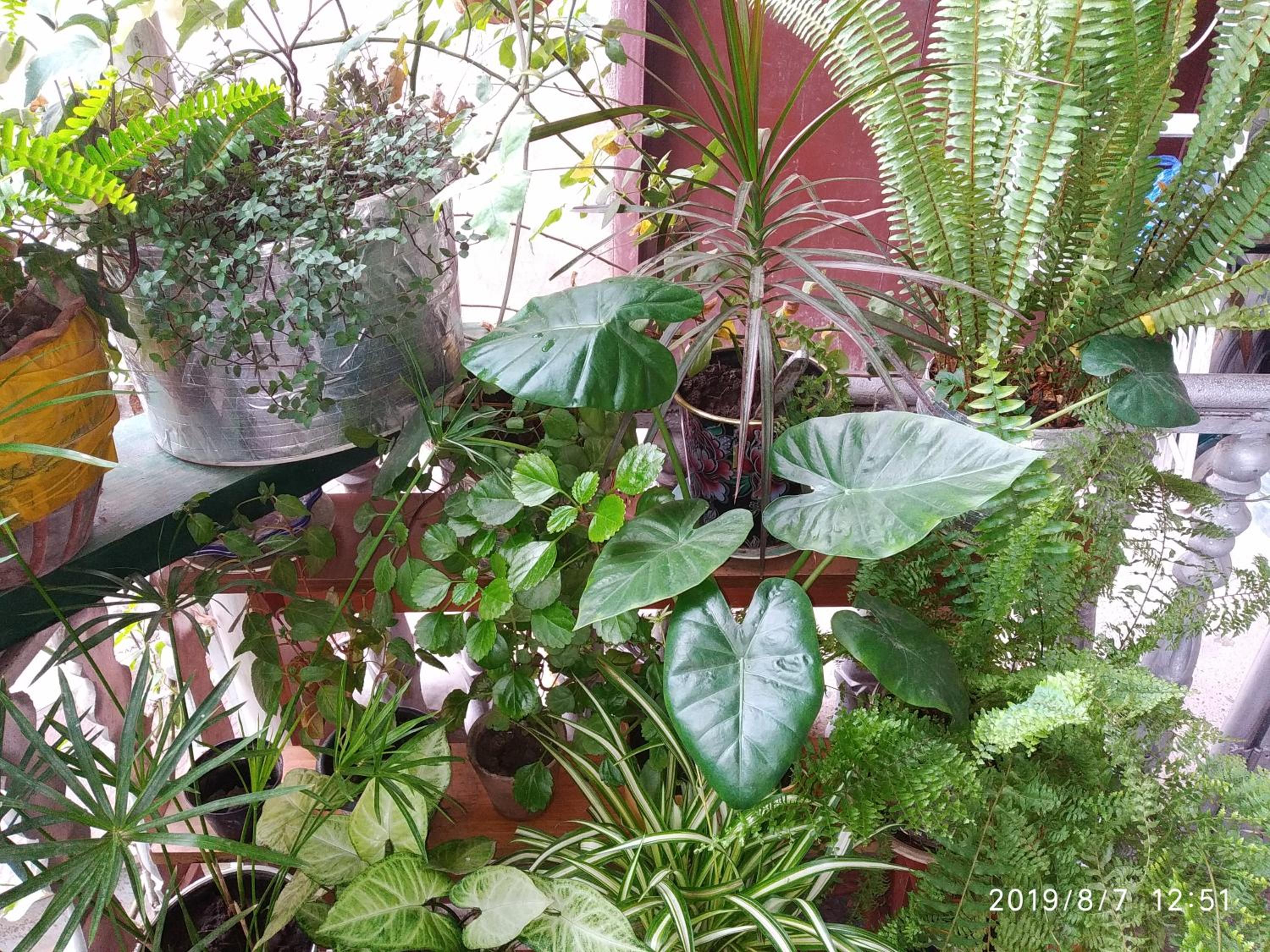 Photo 22