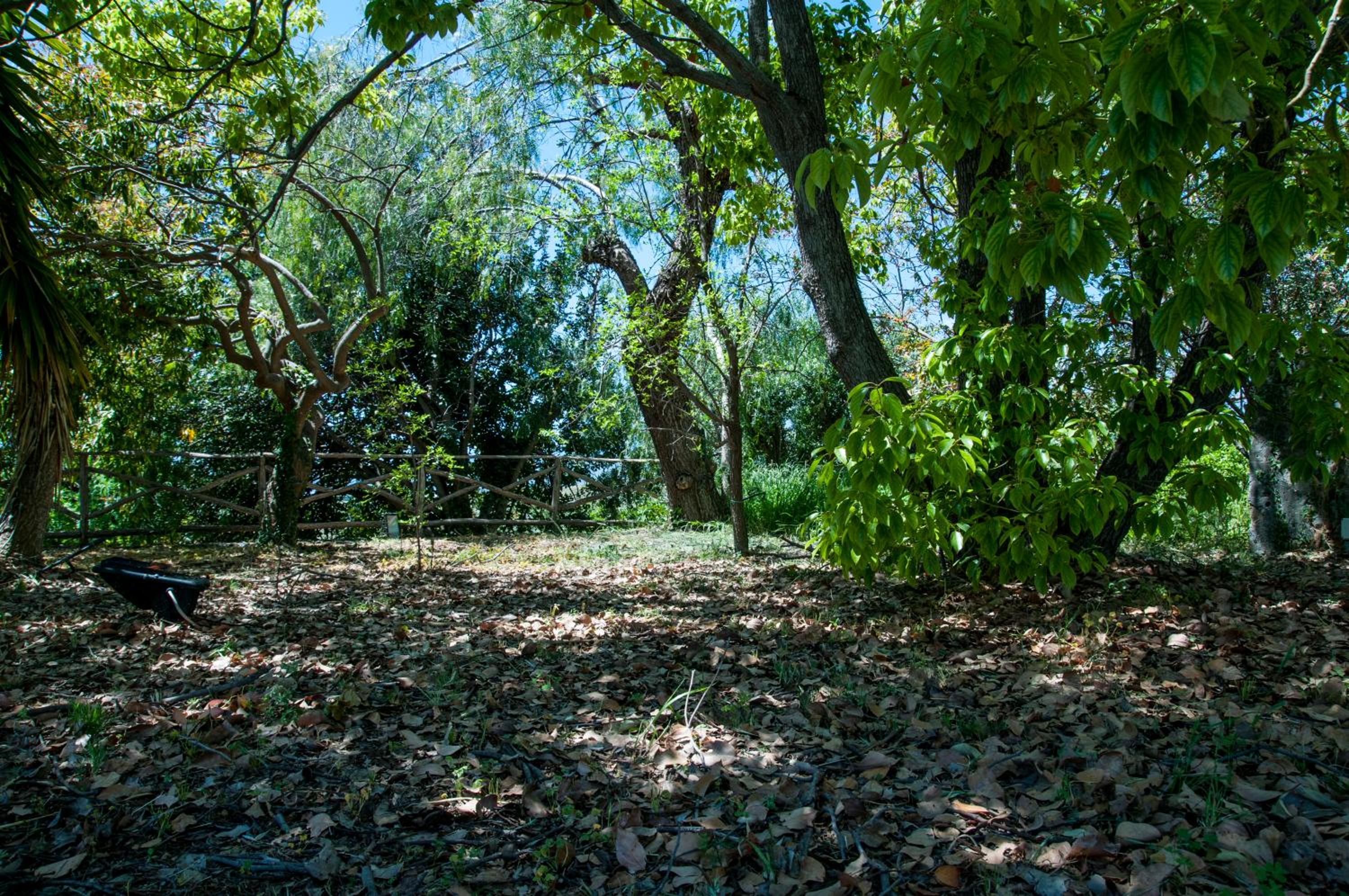 Antico Borgo Etneo Country Hotel