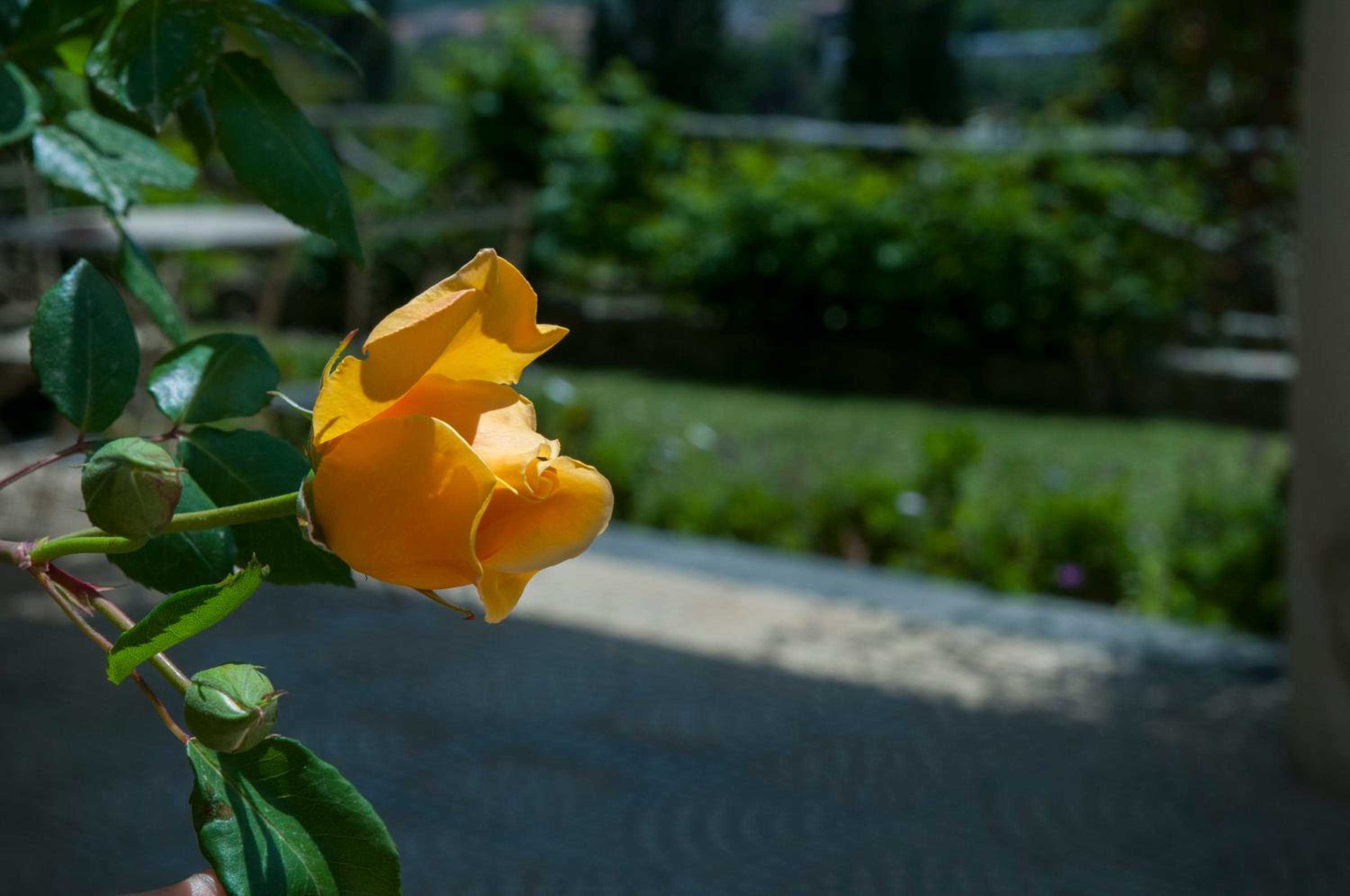Antico Borgo Etneo Country Hotel