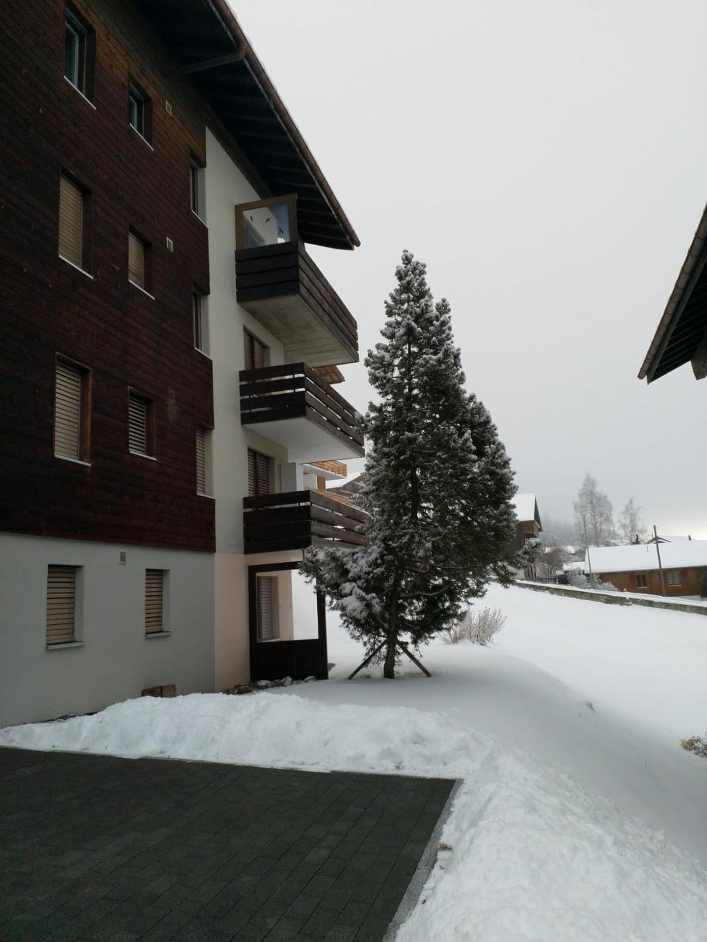 Photo 13