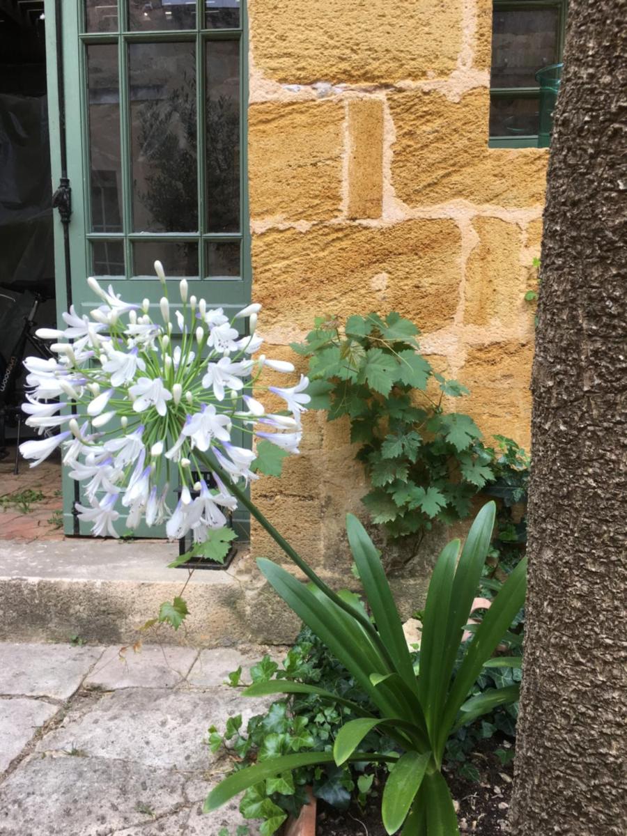 Photo 24