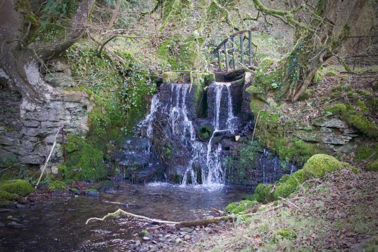 Photo 20