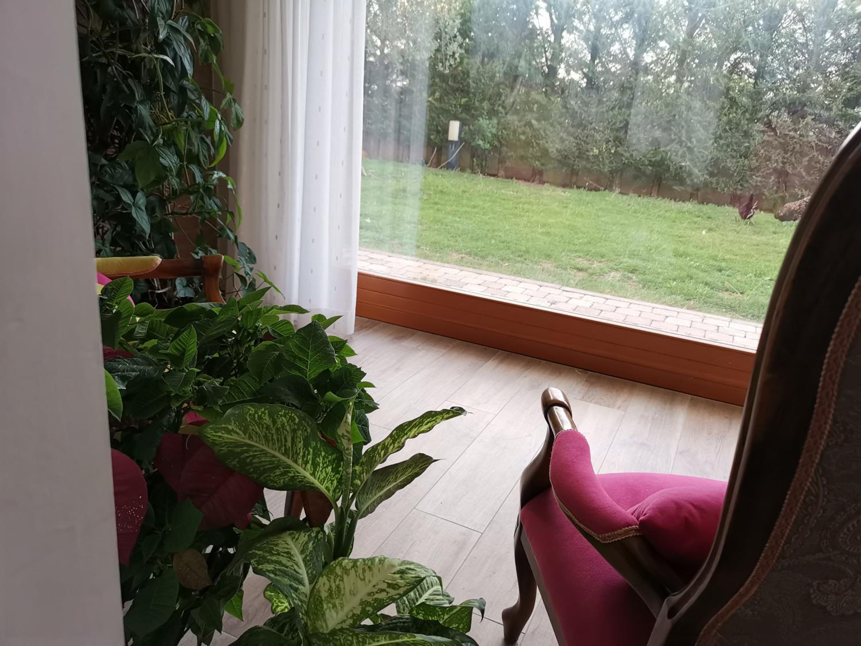 Residenza Sant'Angelo Appartamento ampio con Giardino vicino al Mare, photo 30
