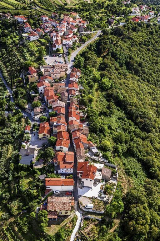 Apartmaji Hrvatin v Kortah view 4